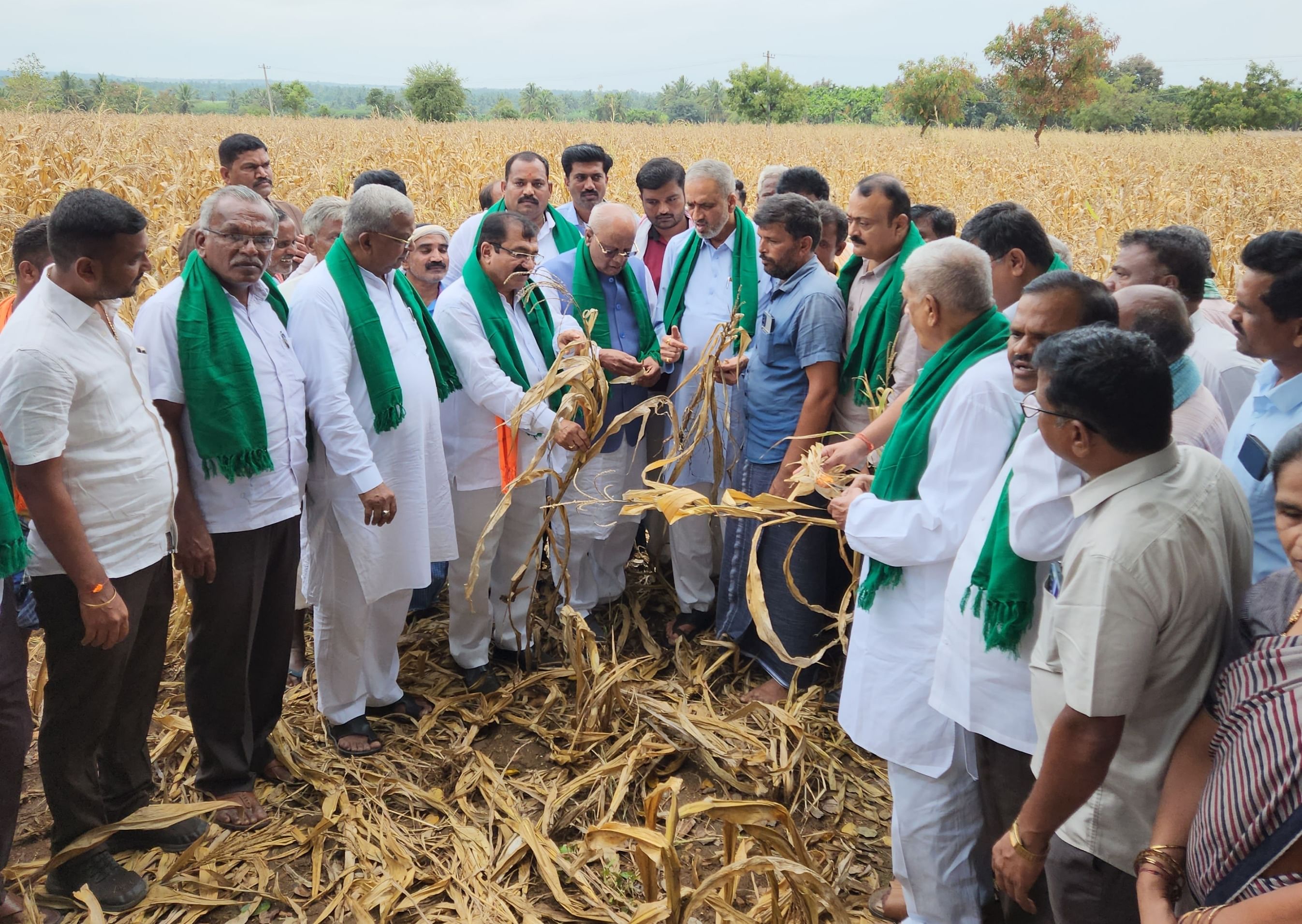 ಹರಿಹರ: ಹರಿಹರ ತಾಲೂಕಿನ ಬೆಳ್ಳೂಡಿ ಗ್ರಾಮದ ಜಮೀನೊಂದರಲ್ಲಿ ಬಿಜೆಪಿ ಮುಖಂಡ ವಿಶ್ವೇಶ್ವರ ಹೆಗಡೆ ಕಾಗೇರಿ ಅವರ ನೇತೃತ್ವದ ಬಿಜೆಪಿ ಬರ ಅಧ್ಯಯನ ತಂಡವು ಸೋಮವಾರ ಬರ ವೀಕ್ಷಣೆ ಮಾಡಿತು. ಸಂಸದ ಜಿ.ಎಂ.ಸಿದ್ದೇಶ್ವರ್, ಶಾಸಕ ಬಿ.ಪಿ.ಹರೀಶ್ ಇದ್ದರು. 