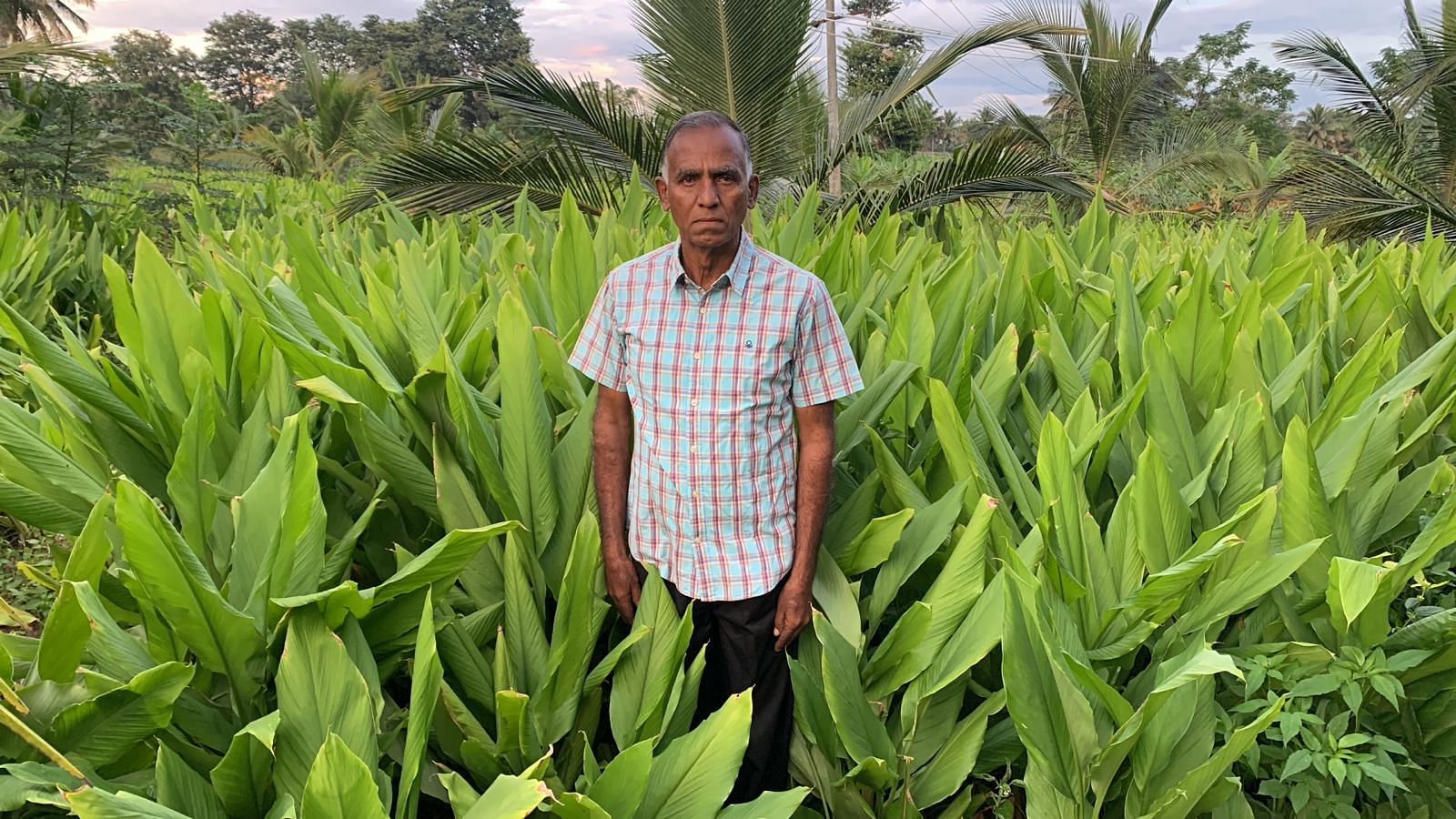 ಹನೂರು ತಾಲ್ಲೂಕಿನ ಬಸವನಗುಡಿ ಗ್ರಾಮದ ರಾಜೇಂದ್ರನ್ ಅವರು ತಾವು ಬೆಳೆದಿರುವ ಅರಿಸಿನ ಬೆಳೆಯೊಂದಿಗೆ