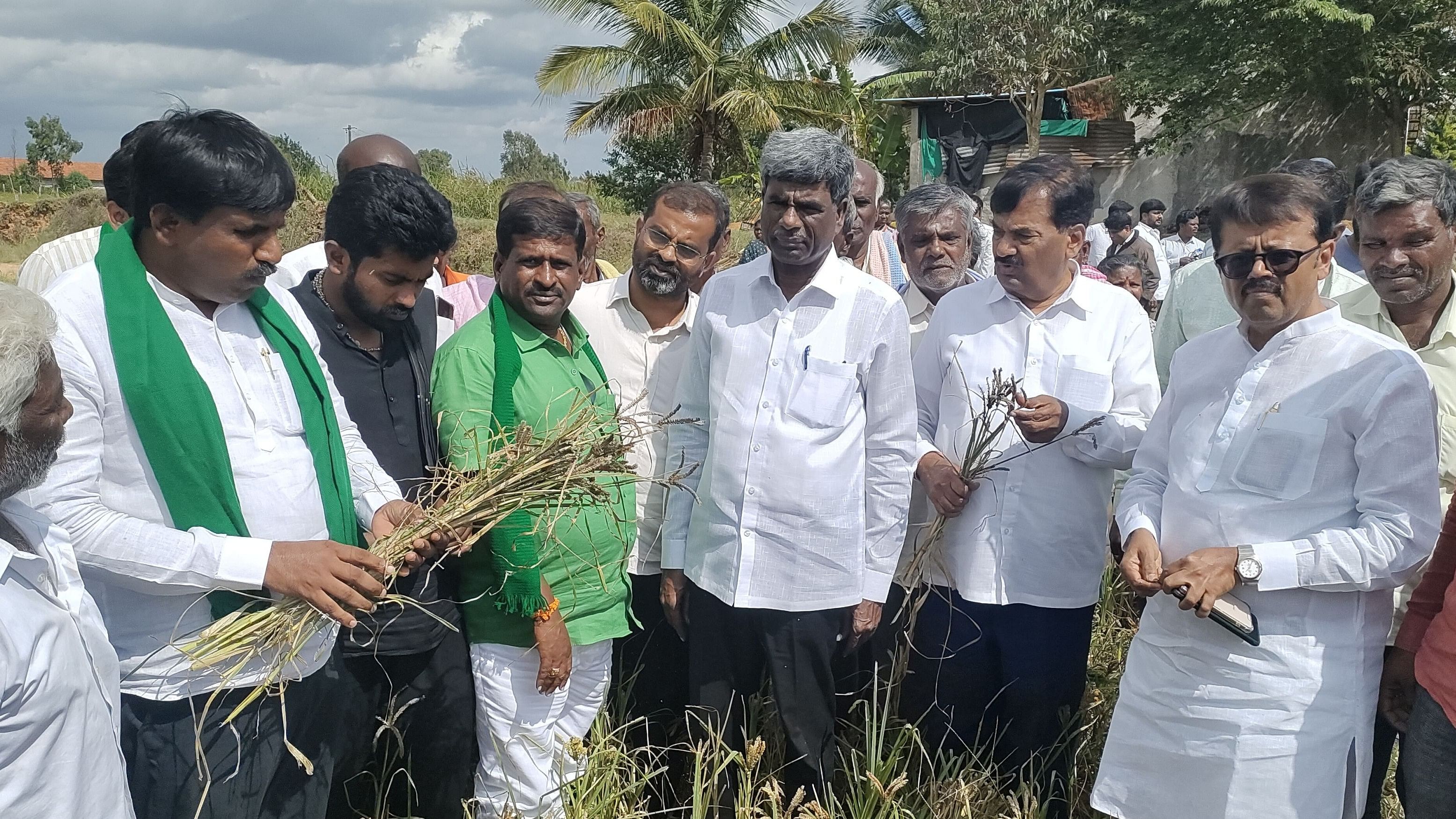 ದೇವನಹಳ್ಳಿ ತಾಲ್ಲೂಕಿನ ಕುಂದಾಣ ಹೋಬಳಿಯ ಕೊಯಿರ, ಶ್ಯಾನಪ್ಪನಹಳ್ಳಿ ಹೊಸಹಳ್ಳಿ ಭಾಗದ ರೈತರನ್ನು ಭೇಟಿ ಮಾಡಿ, ಬರದಿಂದಾಗಿರುವ ನಷ್ಟವನ್ನು ಪರಿಶೀಲಿಸಿದ ಮಾಜಿ ಸಚಿವ ಕೋಟ ಶ್ರೀನಿವಾಸ್‌ ನೇತೃತ್ವದ ಬಿಜೆಪಿ ನಿಯೋಗ