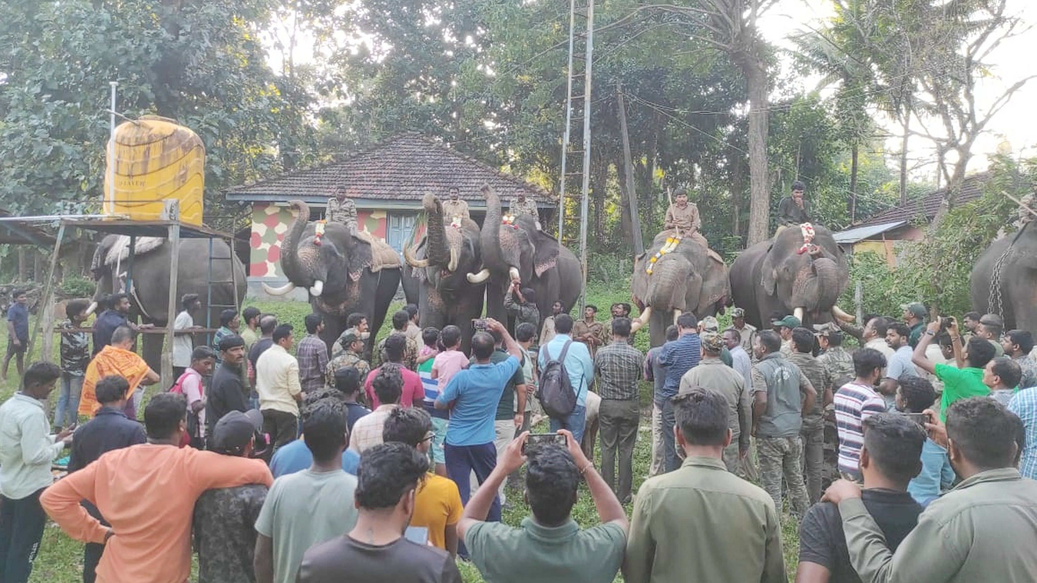 ಮೂಡಿಗೆರೆ ತಾಲ್ಲೂಕಿನ ಕುಂದೂರು ಗ್ರಾಮಕ್ಕೆ ಕಾಡಾನೆ ಸೆರೆಗಾಗಿ ಬಂದ ಸಾಕಾನೆಗಳಿಗೆ ಭಾನುವಾರ ಪೂಜೆ ಸಲ್ಲಿಸಲಾಯಿತು