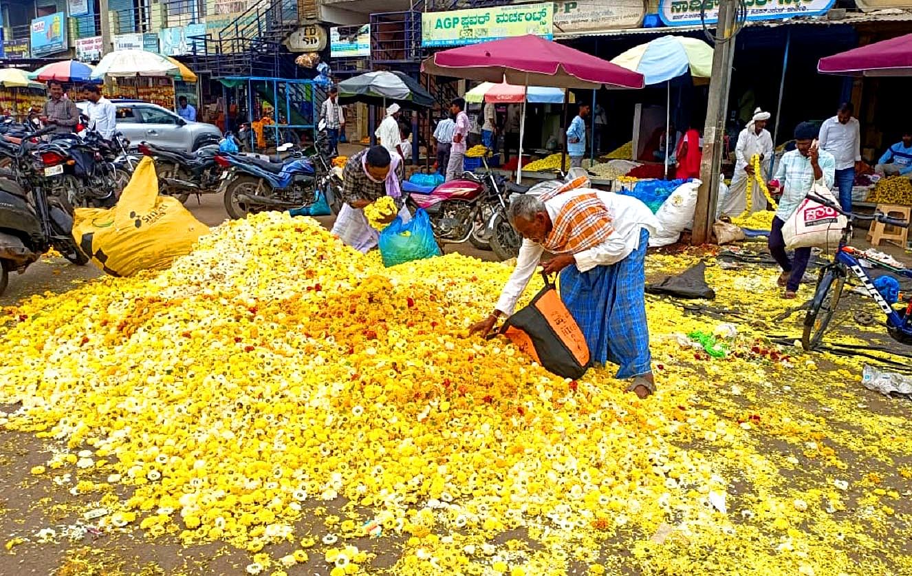 <div class="paragraphs"><p>ಸೇವಂತಿಗೆ ಹೂವಿನ ದರ ಕುಸಿತದ ಹಿನ್ನೆಲೆಯಲ್ಲಿ ಹಾವೇರಿ ನಗರದ ಫ್ಲವರ್‌ ಮಾರ್ಕೆಟ್‌ ಮುಂಭಾಗ ಶುಕ್ರವಾರ ರೈತರು ರಸ್ತೆಗೆ ಹೂ ಚೆಲ್ಲಿರುವ ದೃಶ್ಯ</p></div>