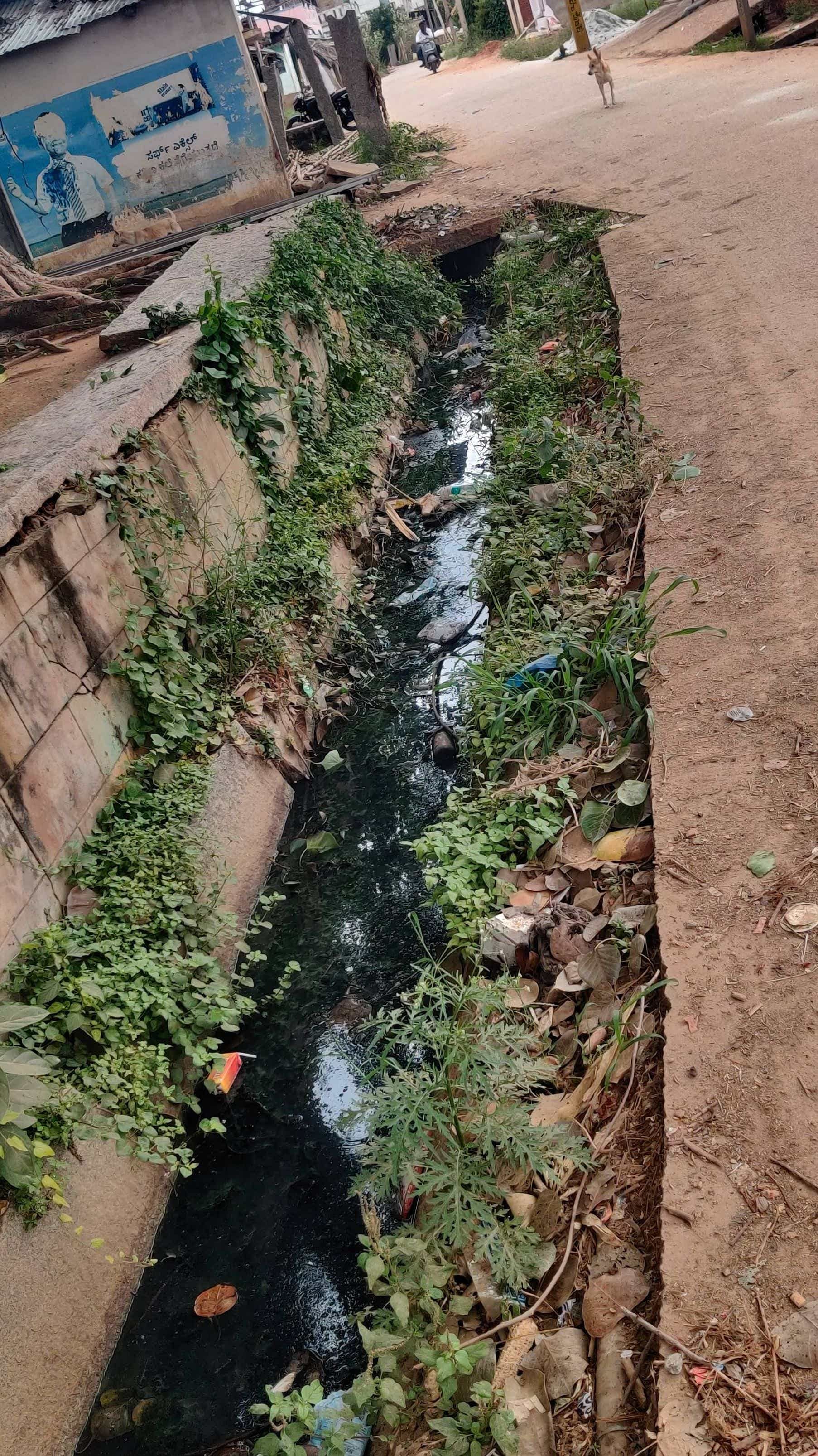 ಸೊನಗಾನಹಳ್ಳಿಯಲ್ಲಿನ ಚರಂಡಿಗಳ ಅವ್ಯವಸ್ಥೆ