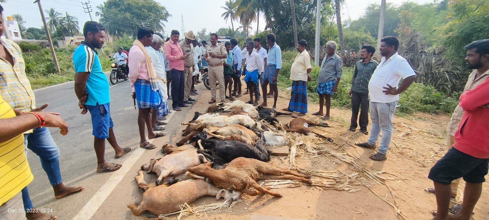 ಕೊಳ್ಳೇಗಾಲ ತಾಲ್ಲೂಕಿನ ಸತ್ತೇಗಾಲ ಗ್ರಾಮದ ಮುಖ್ಯ ರಸ್ತೆಯಲ್ಲಿ ಕುರಿಗಳನ್ನು ತುಂಬಿಕೊಂಡು ಹೋಗುತ್ತಿದ್ದ ಗೂಡ್ಸ್ ವಾಹನ ಪಲ್ಟಿಯಾಗಿ 24 ಕುರಿಗಳು ಸ್ಥಳದಲ್ಲೇ ಸಾವನ್ನಪ್ಪಿದೆ.