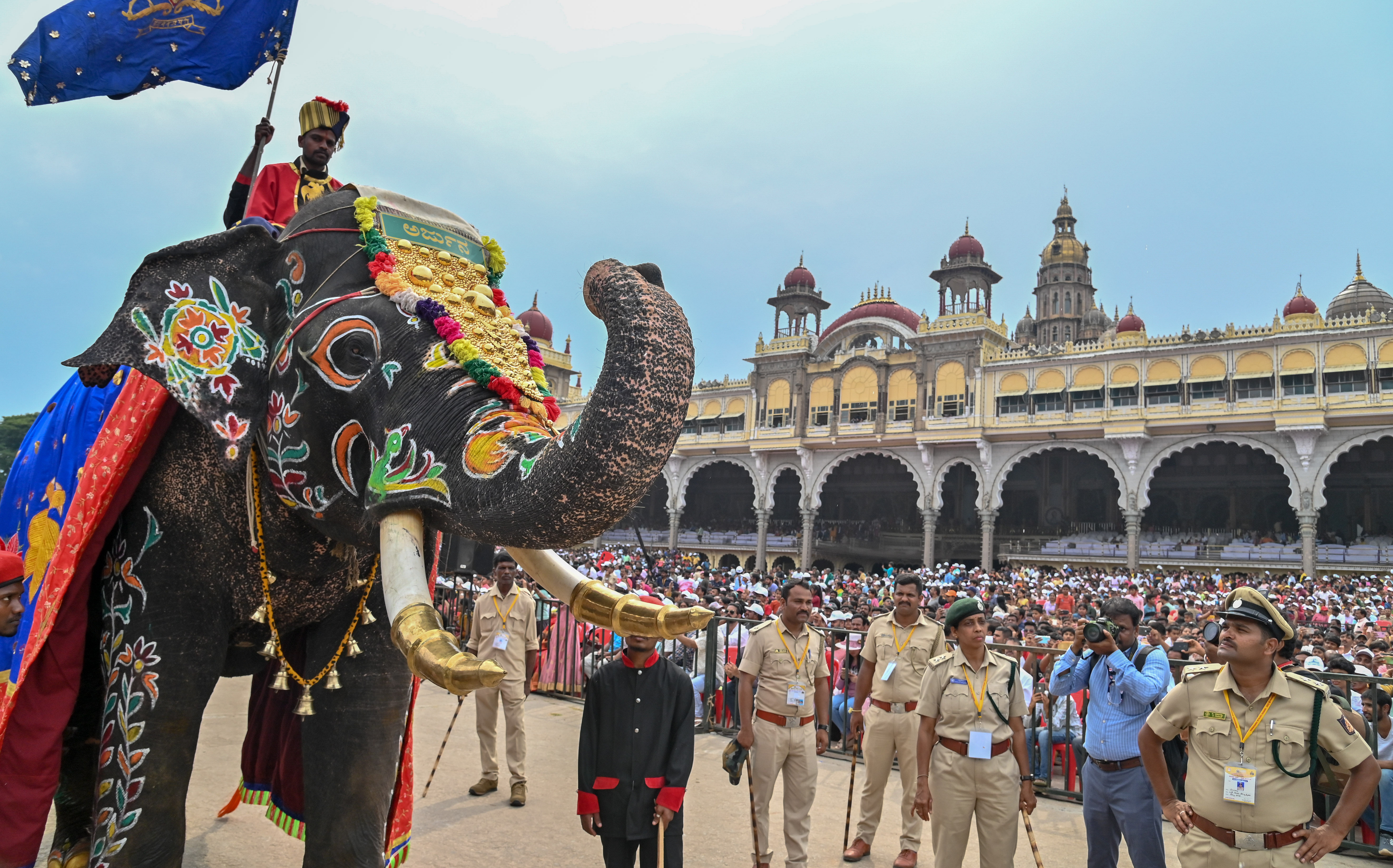 ಕಾಡಾನೆ ಸೆರೆ ಕಾರ್ಯಾಚರಣೆಯಲ್ಲಿ ಸಕಲೇಶಪುರದಲ್ಲಿ ಮೃತಪಟ್ಟ ಅರ್ಜುನ ಆನೆಯು, ಈ ಬಾರಿಯ ದಸರೆಯಲ್ಲಿ ನಿಶಾನೆ ಆನೆಯಾಗಿ ಹೆಜ್ಜೆಹಾಕಿದ್ದ ದೃಶ್ಯ