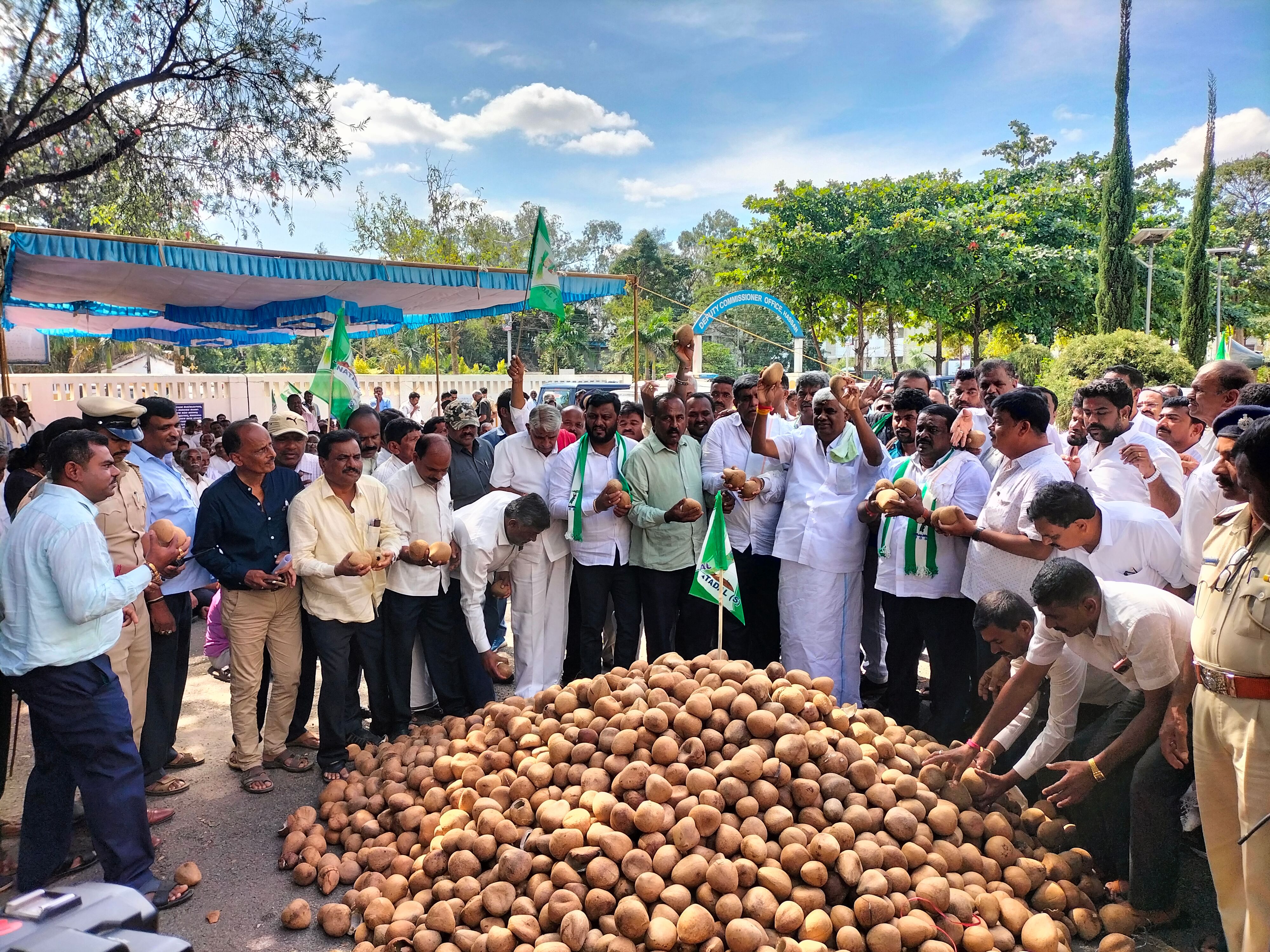 ಜೆಡಿಎಸ್ ಮುಖಂಡರು ಶನಿವಾರ ಹಾಸನದ ಜಿಲ್ಲಾಧಿಕಾರಿ ಕಚೇರಿ ಎದುರು ಕೊಬ್ಬರಿ, ತೆಂಗಿನ ಕಾಯಿ ಸುರಿದು ಪ್ರತಿಭಟನೆ ನಡೆಸಿದರು
