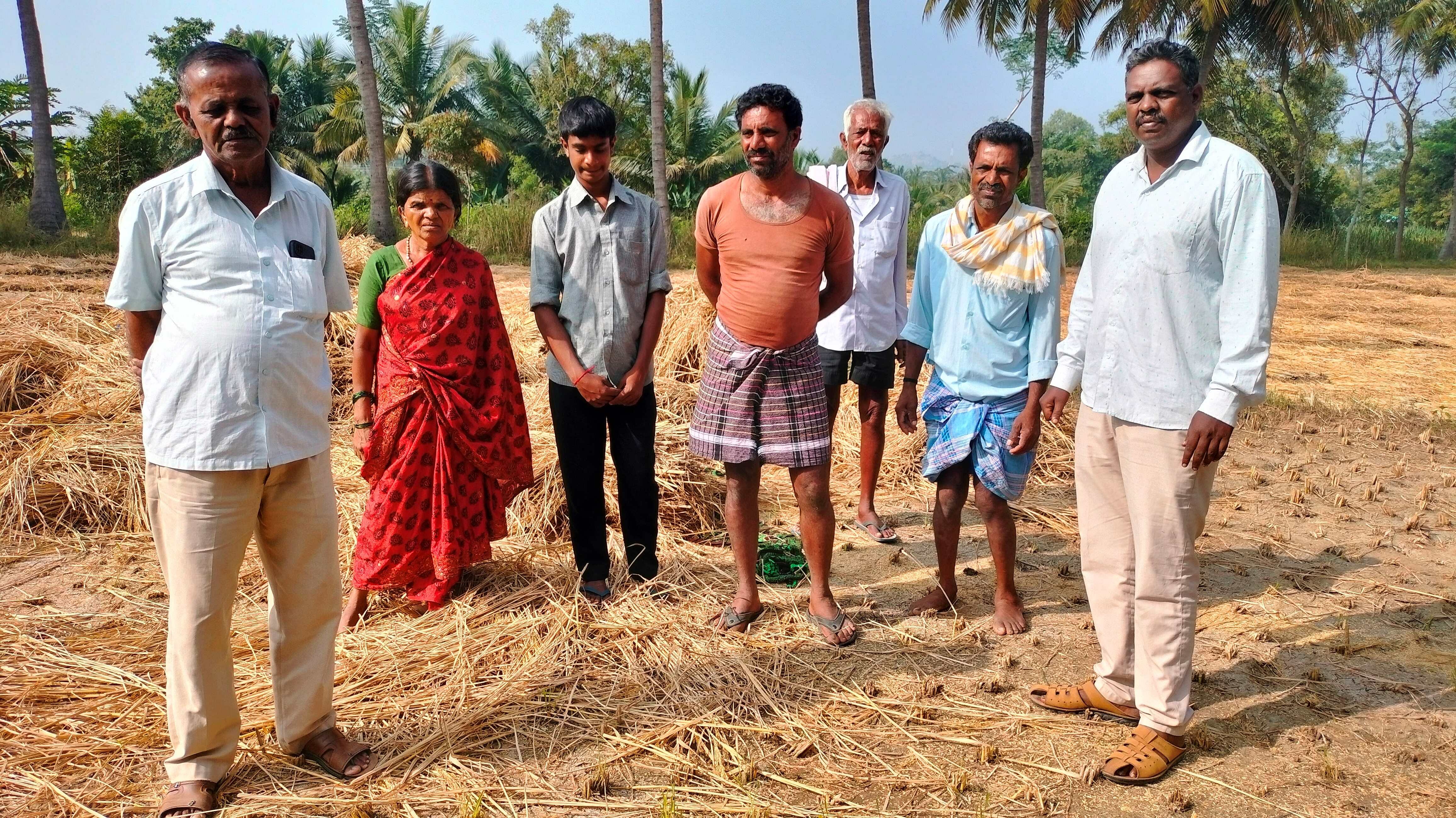 ಕನಕಪುರ ದ್ಯಾಪೇಗೌಡನದೊಡ್ಡಿಯಲ್ಲಿ ಕಾಡಾನೆ ದಾಳಿಯಿಂದ ಹಾನಿ ಆಗಿರುವ ಭತ್ತದೆ ಬೆಳೆ ಪರಿಶೀಲನೆ ನಡೆಸಿದ ಅರಣ್ಯ ಅಧಿಕಾರಿಗಳು, ರೈತರು