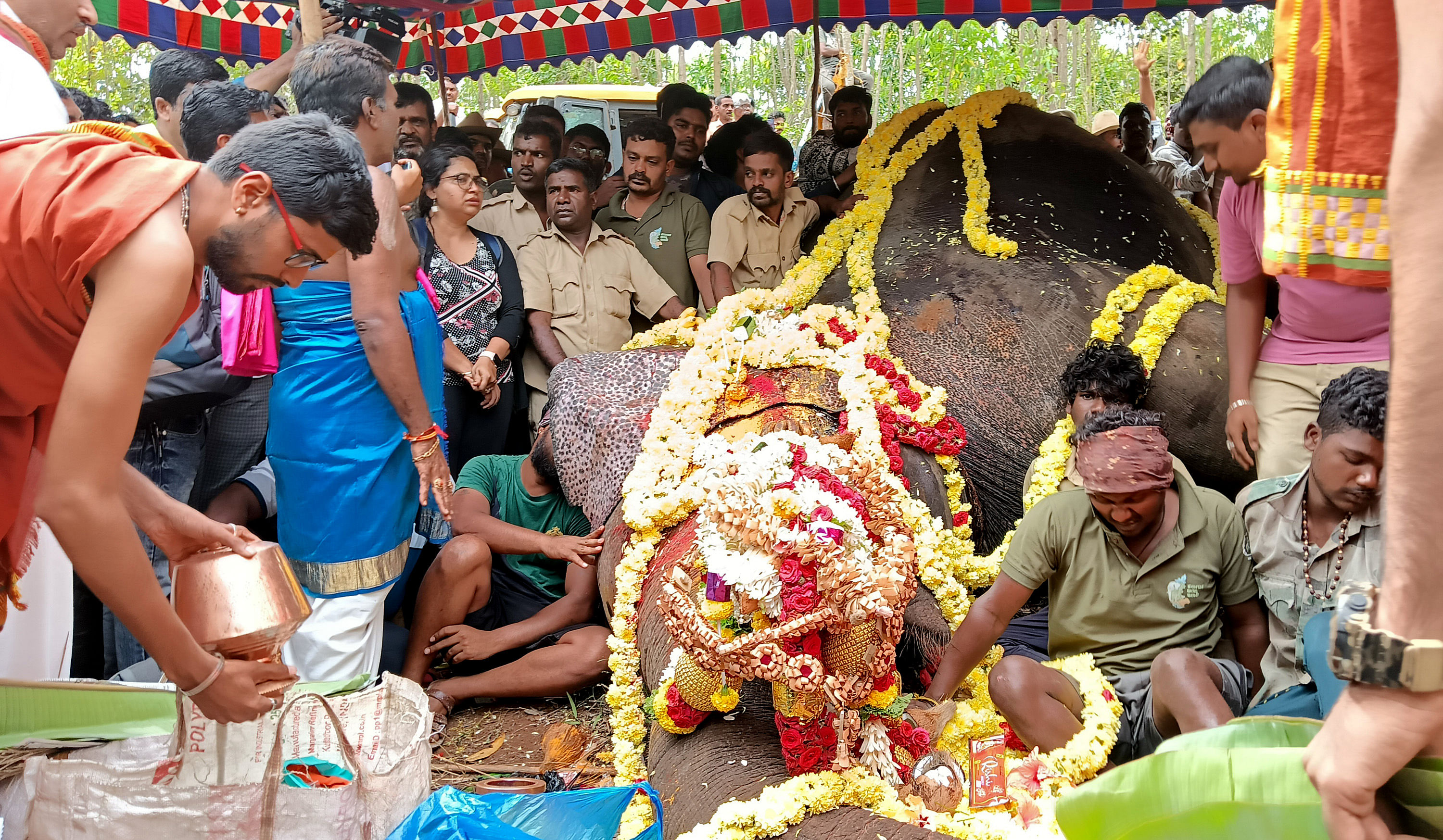 ಸಕಲೇಶಪುರ ತಾಲ್ಲೂಕು ಯಸಳೂರು ಸಮೀಪದ ದಬ್ಬಳಿಕಟ್ಟೆ ಅರಣ್ಯದಲ್ಲಿ ಮಂಗಳವಾರ ಅರ್ಜುನನ ಕಳೇಬರಕ್ಕೆ ಮೈಸೂರು ರಾಜಮನೆತನದ ಪುರೋಹಿತ ಪ್ರಹ್ಲಾದ್‌ ಪೂಜೆ ನೆರವೇರಿಸಿದರು. –ಪ್ರಜಾವಾಣಿ ಚಿತ್ರ/ ಜಾನೇಕೆರೆ ಆರ್. ಪರಮೇಶ್‌ 
