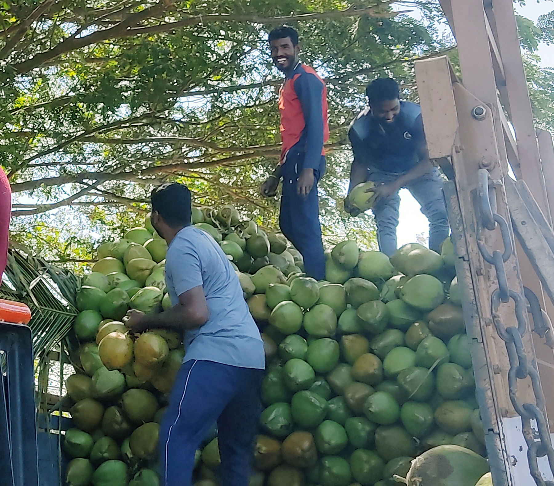 ಯಳಂದೂರು ಪಟ್ಟಣದ ರಾಷ್ಟ್ರೀಯ ಹೆದ್ದಾರಿ ಬದಿ ಮಾರಾಟಗಾರರು ಹೈದರಾಬಾದ್‌ಗೆ ಎಳನೀರು ಕಳುಹಿಸಲು ಲಾರಿಗೆ ತುಂಬಿದರು
