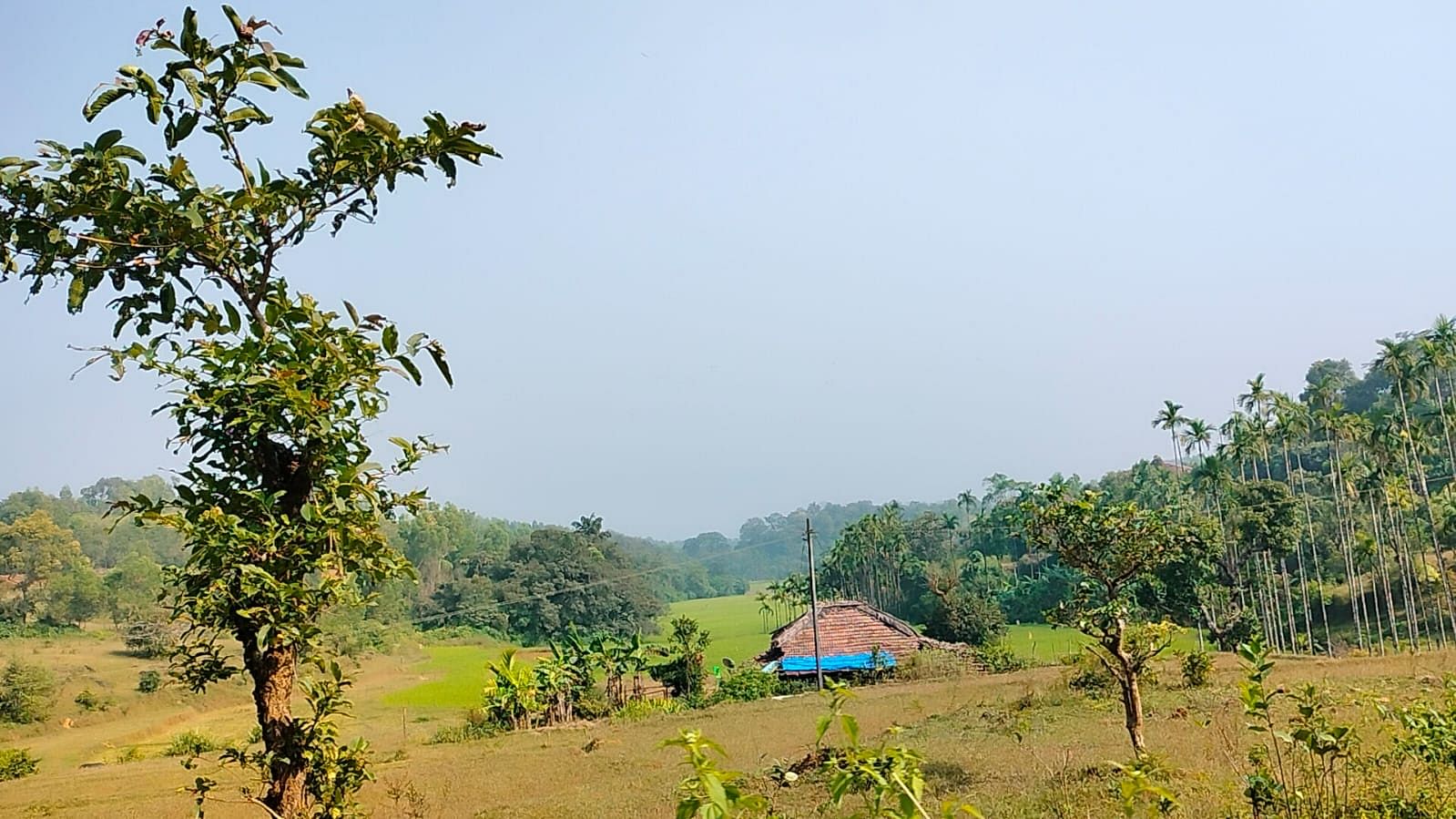 ಶರಾವತಿ ಕಣಿವೆಯ ಮರಾಠಿ ಗ್ರಾಮದಲ್ಲಿರುವ ಒಂಟಿ ಮನೆಗಳು