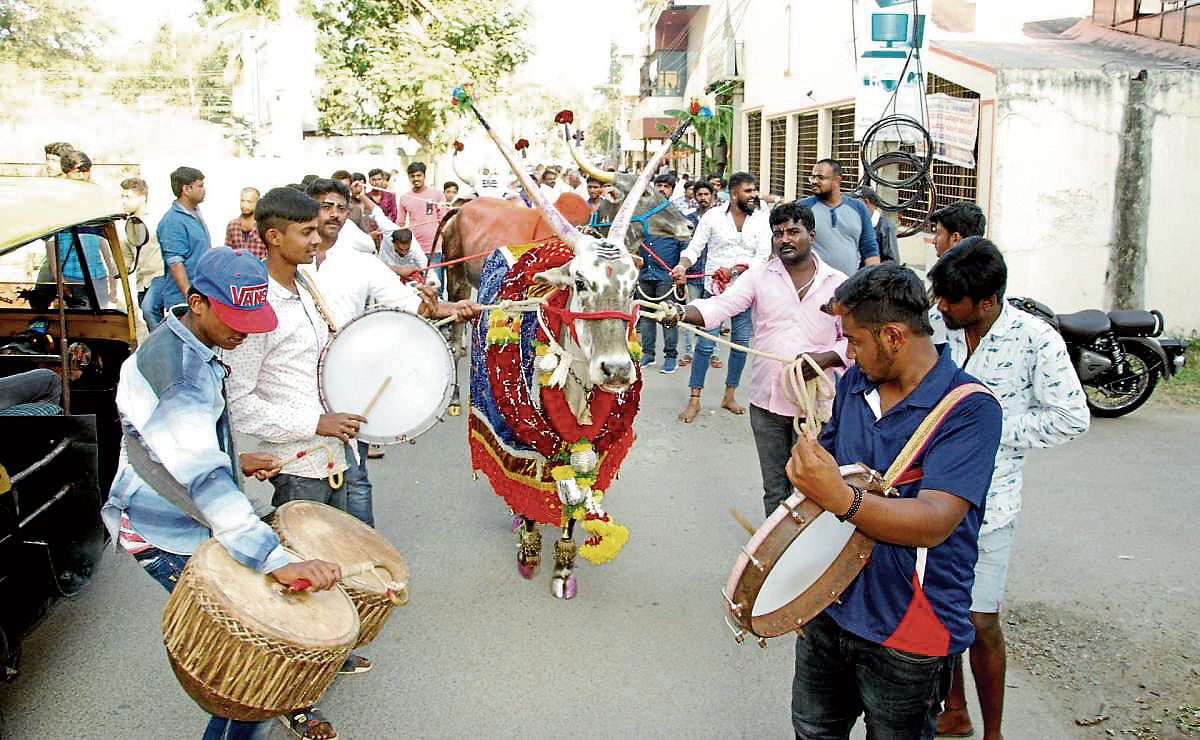 ಬ್ಯಾಂಡ್‌ಸೆಟ್‌ನೊಂದಿಗೆ ರಾಸುಗಳ ಮೆರವಣಿಗೆ