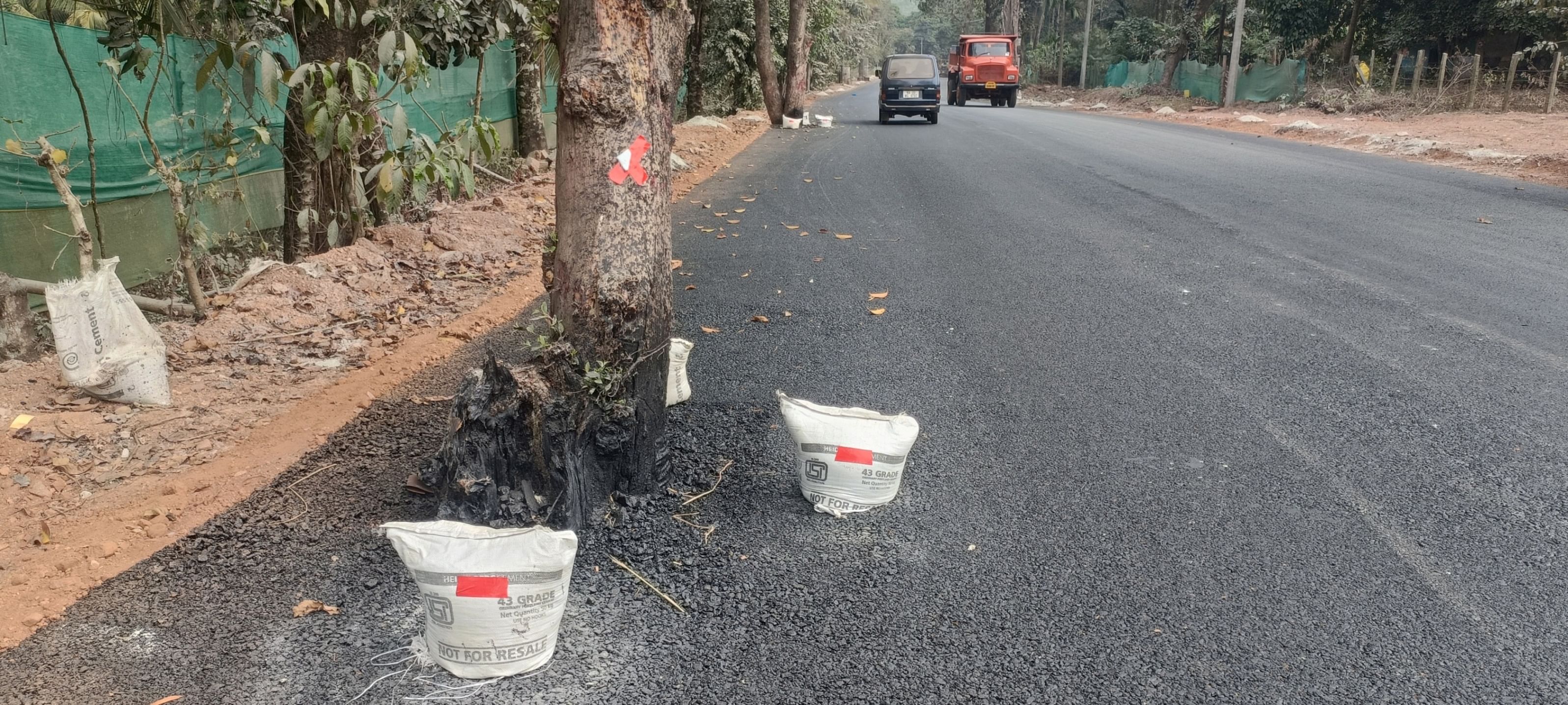 ಆನಂದಪುರ ಸಮೀಪದ ರಾಷ್ಟ್ರೀಯ ಹೆದ್ದಾರಿ 766 ‘ಸಿ’ ಬಟ್ಟೆಮಲ್ಲಪ್ಪ ಬಳಿ ಮರಗಳ ನಡುವೆಯೇ ಡಾಂಬರೀಕರಣ ಮಾಡಿರುವುದು