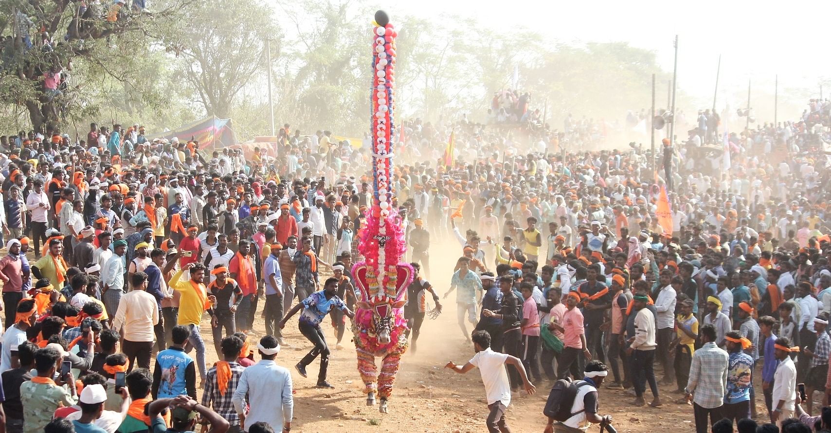 ಶಿಕಾರಿಪುರ ತಾಲ್ಲೂಕಿನ ತರಲಘಟ್ಟ ಗ್ರಾಮದಲ್ಲಿ ಭಾನುವಾರ ನಡೆದ ರಾಜ್ಯಮಟ್ಟದ ಹೋರಿ ಬೆದರಿಸುವ ಸ್ಪರ್ಧೆಯಲ್ಲಿ ಆಕರ್ಷಕವಾಗಿ ಸಿಂಗರಿಸಿದ್ದ ಹೋರಿಯೊಂದನ್ನು ಹಿಡಿಯಲು ಮುಂದಾದ ಉತ್ಸಾಹಿಗಳು...
ಪ್ರಜಾವಾಣಿ ಚಿತ್ರ: ಎಚ್.ಎಸ್. ರಘು