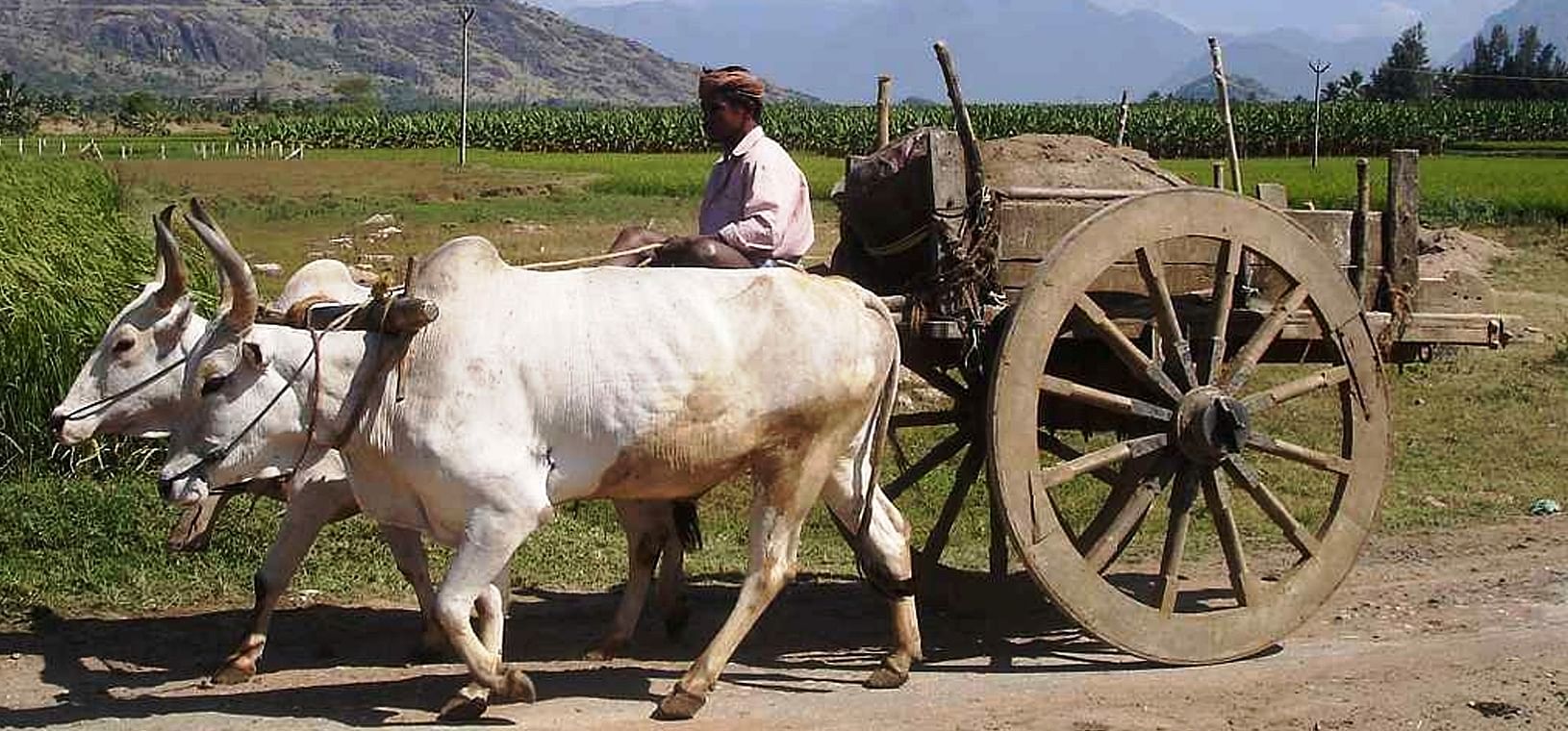 ಎತ್ತಿನಗಾಡಿ