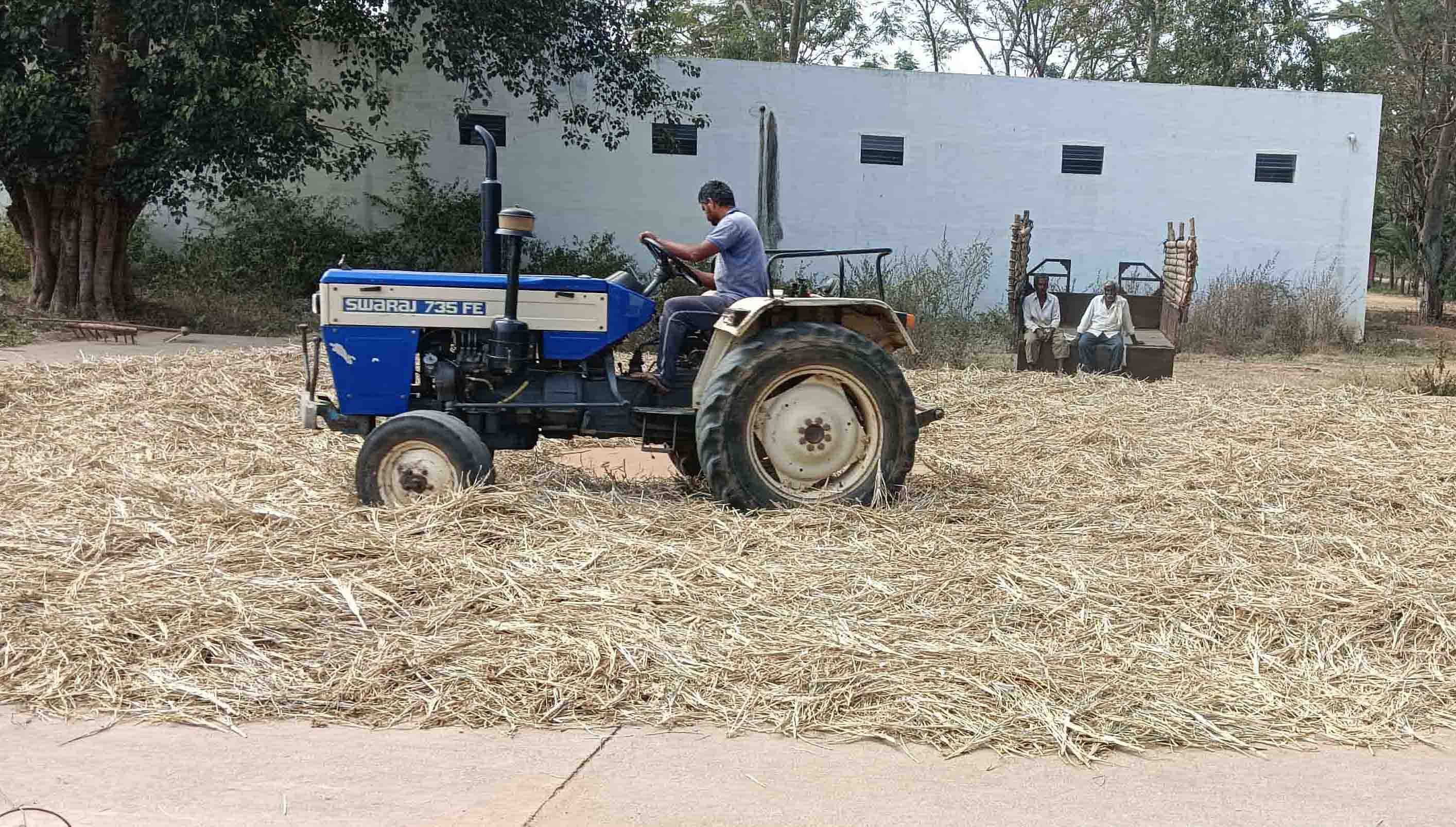 ಚಿಕ್ಕಜಾಜೂರಿನ ಎಪಿಎಂಸಿ ಆವರಣದಲ್ಲಿನ ಕಾಂಕ್ರೀಟ್‌ ಕಣದಲ್ಲಿ ರೈತರು ರಾಗಿ ಹುಲ್ಲನ್ನು ಟ್ರ್ಯಾಕ್ಟರ್‌ ಮೂಲಕ ತುಳಿಸುತ್ತಿರುವುದು