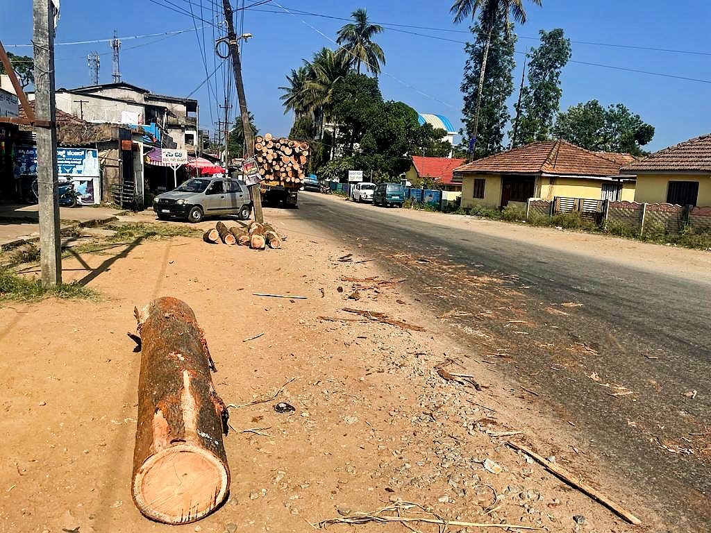 ಆಲ್ದೂರು ಪಟ್ಟಣದಲ್ಲಿ ಹಾದು ಹೋಗಿರುವ ರಾಜ್ಯ ಹೆದ್ದಾರಿಯಲ್ಲಿ ಹಗ್ಗ ಸಡಿಲಗೊಂಡು ಲಾರಿಯಿಂದ ನೆಲಕ್ಕುರುಳಿರುವ ಮರದ ದಿಮ್ಮಿಗಳು