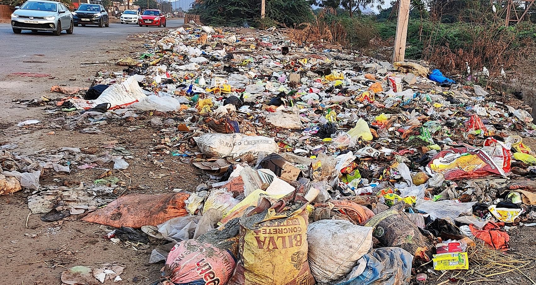 ತೋರಣಗಲ್ಲು ಗ್ರಾಮದ ಎದುರುಬಸಣ್ಣ ದೇವಸ್ಥಾನದ ಬಳಿಯಲ್ಲಿನ ಹಳ್ಳವು ತ್ಯಾಜ್ಯದಿಂದ ಆವೃತವಾಗಿರುವುದು