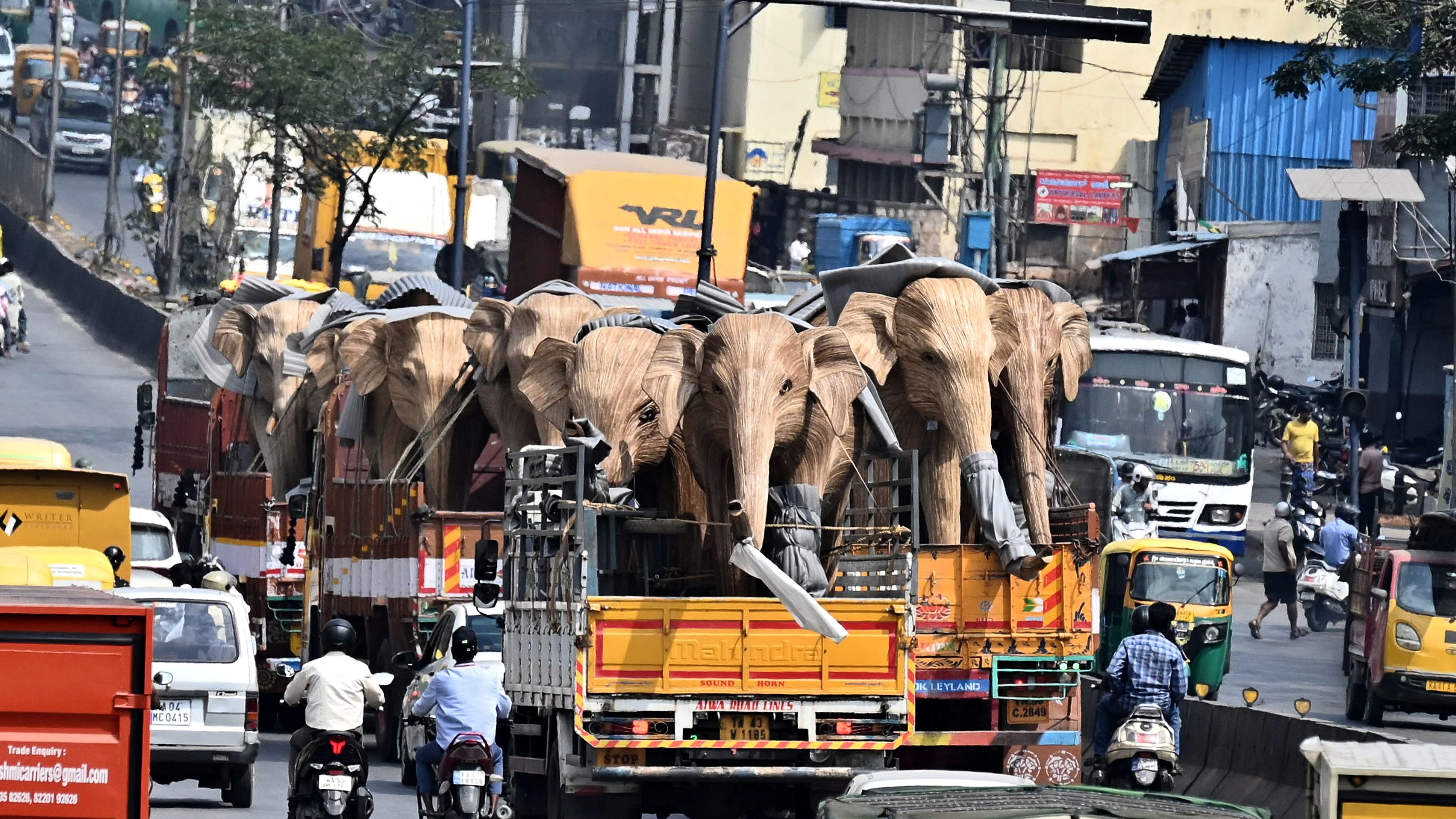 ಆನೆ ಬಂತು ಆನೆ, ಕಟ್ಟಿಗೆ ಆನೆ...
ಕಳೆ ಗಿಡಗಳ ಕಾಂಡದಿಂದ ತಯಾರಿಸಲಾದ ಆನೆಗಳ ಪ್ರತಿರೂಪಗಳನ್ನು ಲಾಲ್‌ಬಾಗ್‌ನಲ್ಲಿ ಪ್ರದರ್ಶನಕ್ಕಿಡಲು ಲಾರಿಯಲ್ಲಿ ಕೊಂಡೊಯ್ಯಲಾಯಿತು. – ಪ್ರಜಾವಾಣಿ ಚಿತ್ರ/ ವಿ.ಪುಷ್ಕರ್‌