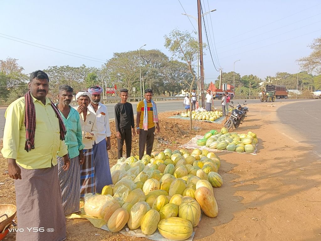 ಹೊನ್ನಾಳಿಯ ತುಂಗಭದ್ರಾ ಸೇತುವೆ ಸಮೀಪದಲ್ಲಿ ಕರಬೂಜ ಹಣ್ಣು ಮಾರಾಟಕ್ಕೆ ಇಟ್ಟಿರುವ ರೈತರು