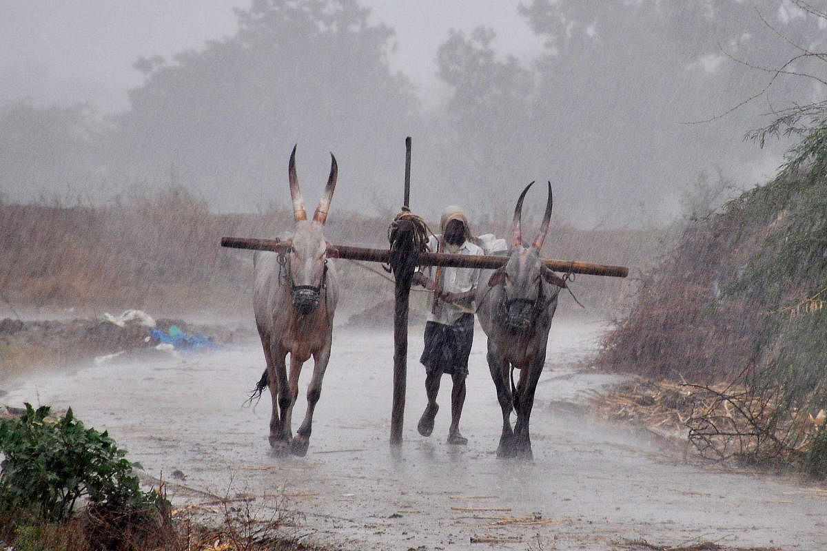 ಸಾಂದರ್ಭಿಕ ಚಿತ್ರ