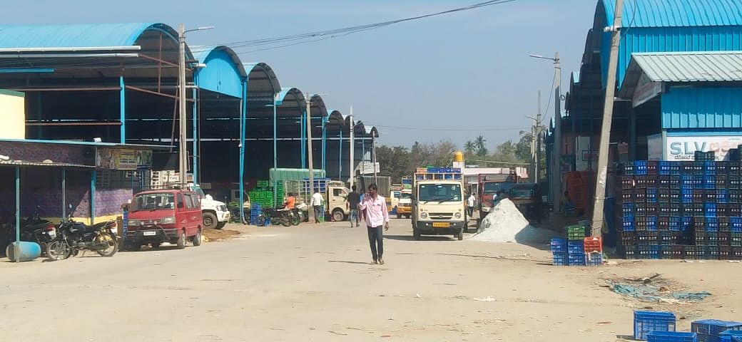 ಮುಳಬಾಗಿಲು ತಾಲ್ಲೂಕಿನ ಎನ್.ವಡ್ಡಹಳ್ಳಿ ಎಪಿಎಂಸಿ ಟೊಮೆಟೊ ಮಾರುಕಟ್ಟೆ 