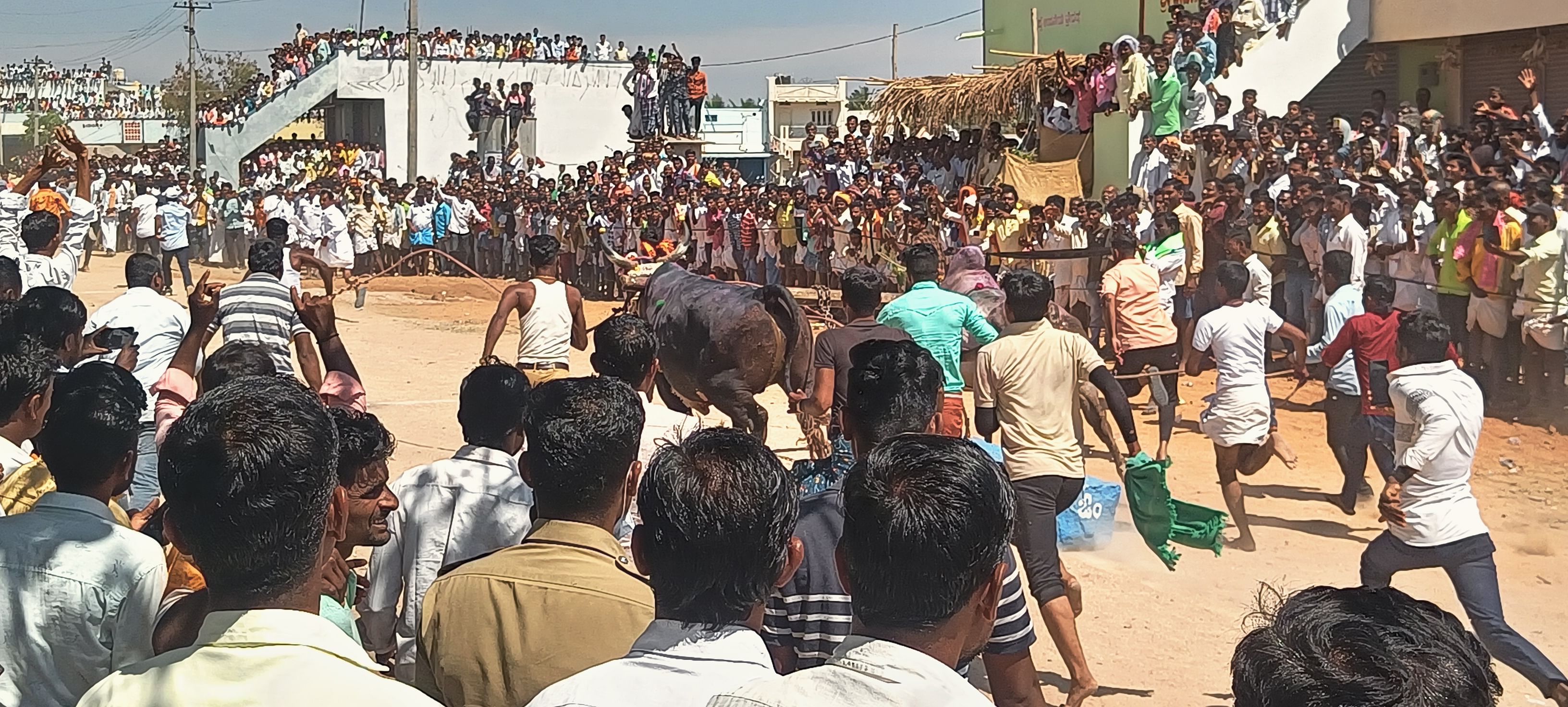 ತಾವರಗೇರಾ ಪಟ್ಟಣದ ಕೃಷಿ ಉತ್ಪನ್ನ ಉಪ ಮಾರುಕಟ್ಟೆ ಆವರಣದಲ್ಲಿ ನಡೆದ 1.5 ಟನ್ ತೂಕದ ಕಲ್ಲನ್ನು ಎಳೆಯುವ ಸ್ಪರ್ಧೆ ವಿಕ್ಷೀಸಲು ಸೇರಿದ್ದ ಜನರು