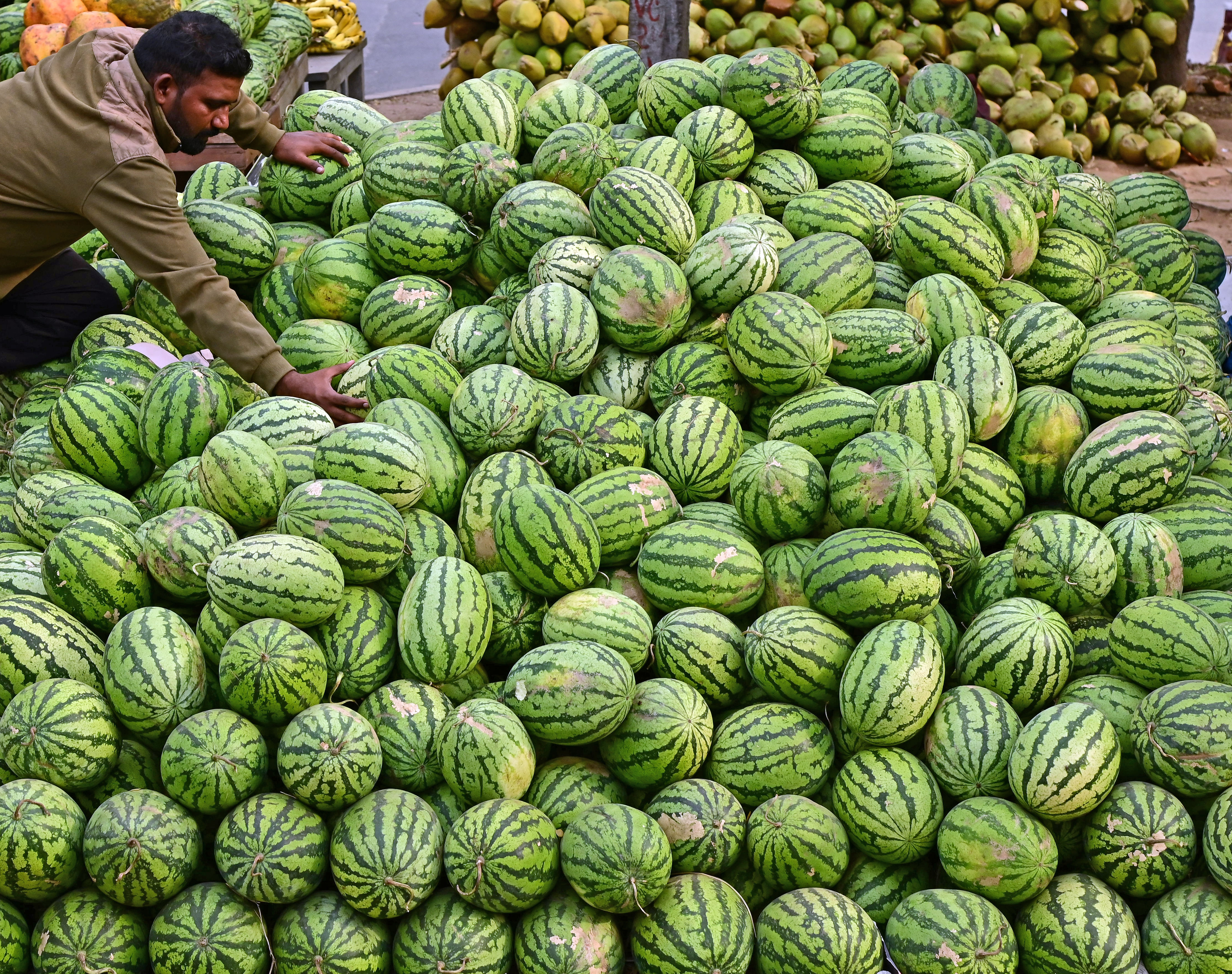 ಕಲ್ಲಂಗಡಿ