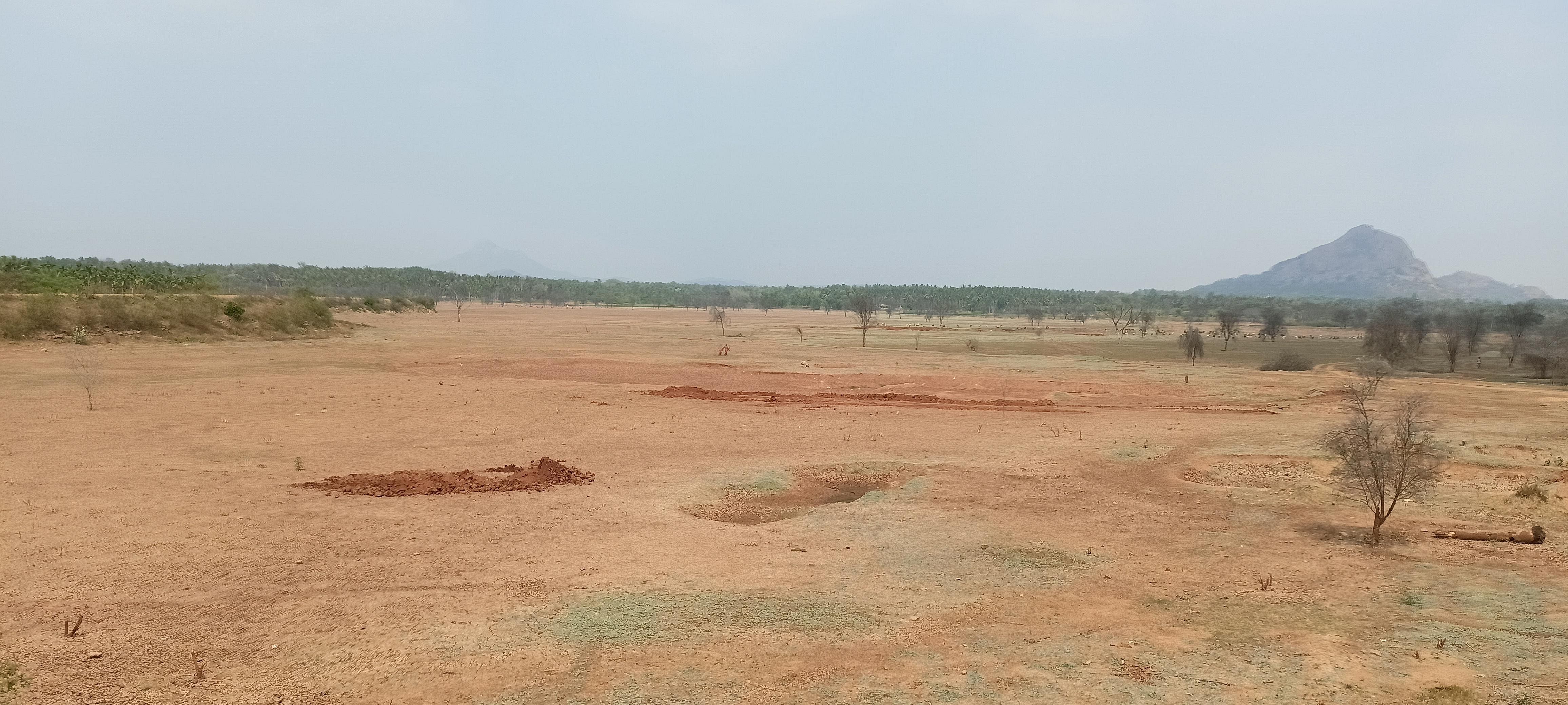 ಕುದೂರು ಹೋಬಳಿಯ ಬಿಸ್ಕೂರು ಕೆರೆಯು ನೀರಿಲ್ಲದೆ ಭಣಗುಡುತ್ತಿದೆ