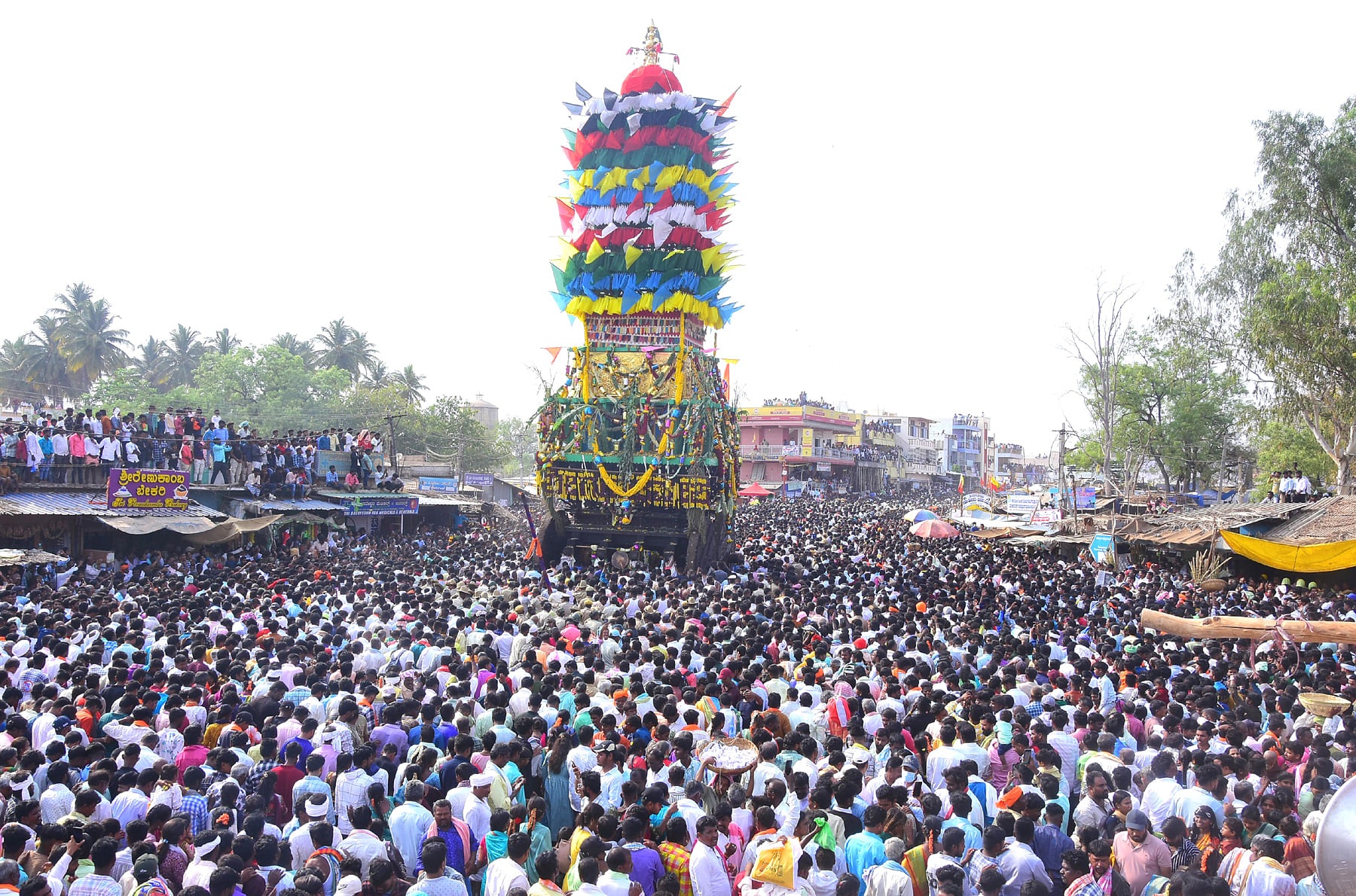 ನಾಯಕನಹಟ್ಟಿ ಪಟ್ಟಣದ ಐತಿಹಾಸಿಕ ಶ್ರೀಗುರು ತಿಪ್ಪೇರುದ್ರಸ್ವಾಮಿಯ ವಾರ್ಷಿಕ ರಥೋತ್ಸವ ವಿಜೃಂಭಣೆಯಿಂದ ನಡೆಯುತ್ತಿರುವುದು