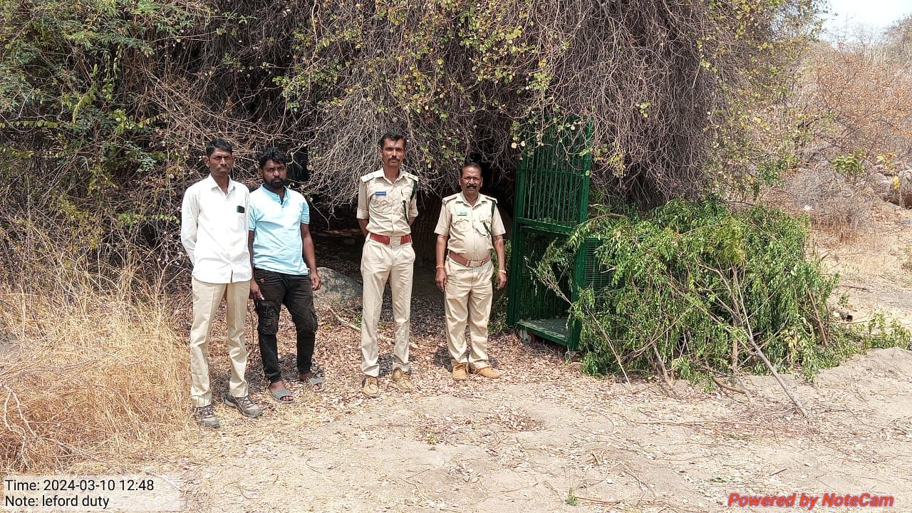 ಸುರಪುರ ತಾಲ್ಲೂಕಿನ ಮಾಚಗುಂಡಾಳ ಪ್ರದೇಶದಲ್ಲಿ ಚಿರತೆ ಶೋಧ ನಡೆಸಲು ಭಾನುವಾರ ಅರಣ್ಯ ಇಲಾಖೆ ತಂಡ ಗಸ್ತು ತಿರುಗಿತು