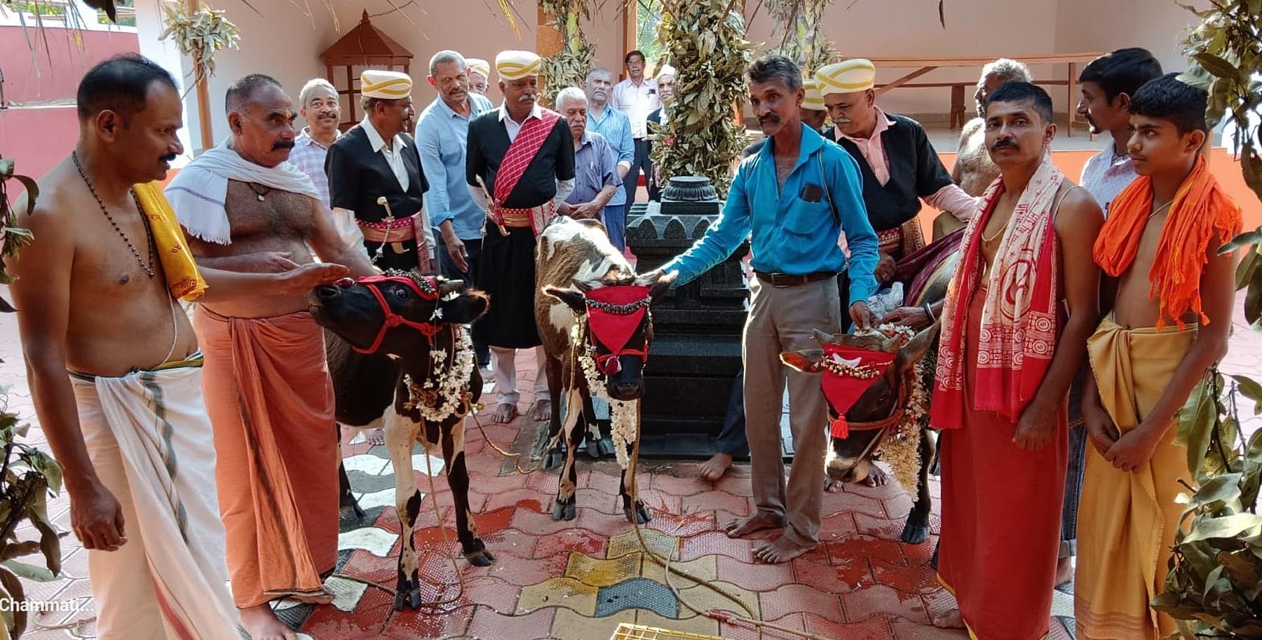 ಗೋಣಿಕೊಪ್ಪಲು ಬಳಿಯ ಕುಂದಬೊಟ್ಟಿಯತ್ ನಾಡ್ ಈಶ್ವರ ದೇವಸ್ಥಾನದ ಎತ್ತ್ ಪೋರಾಟ ಉತ್ಸವದ ಅಂಗವಾಗಿ ಎತ್ತುಗಳನ್ನು ಅಲಂಕರಿಸಿ ಪೂಜೆ ಸಲ್ಲಿಸಲಾಯಿತು