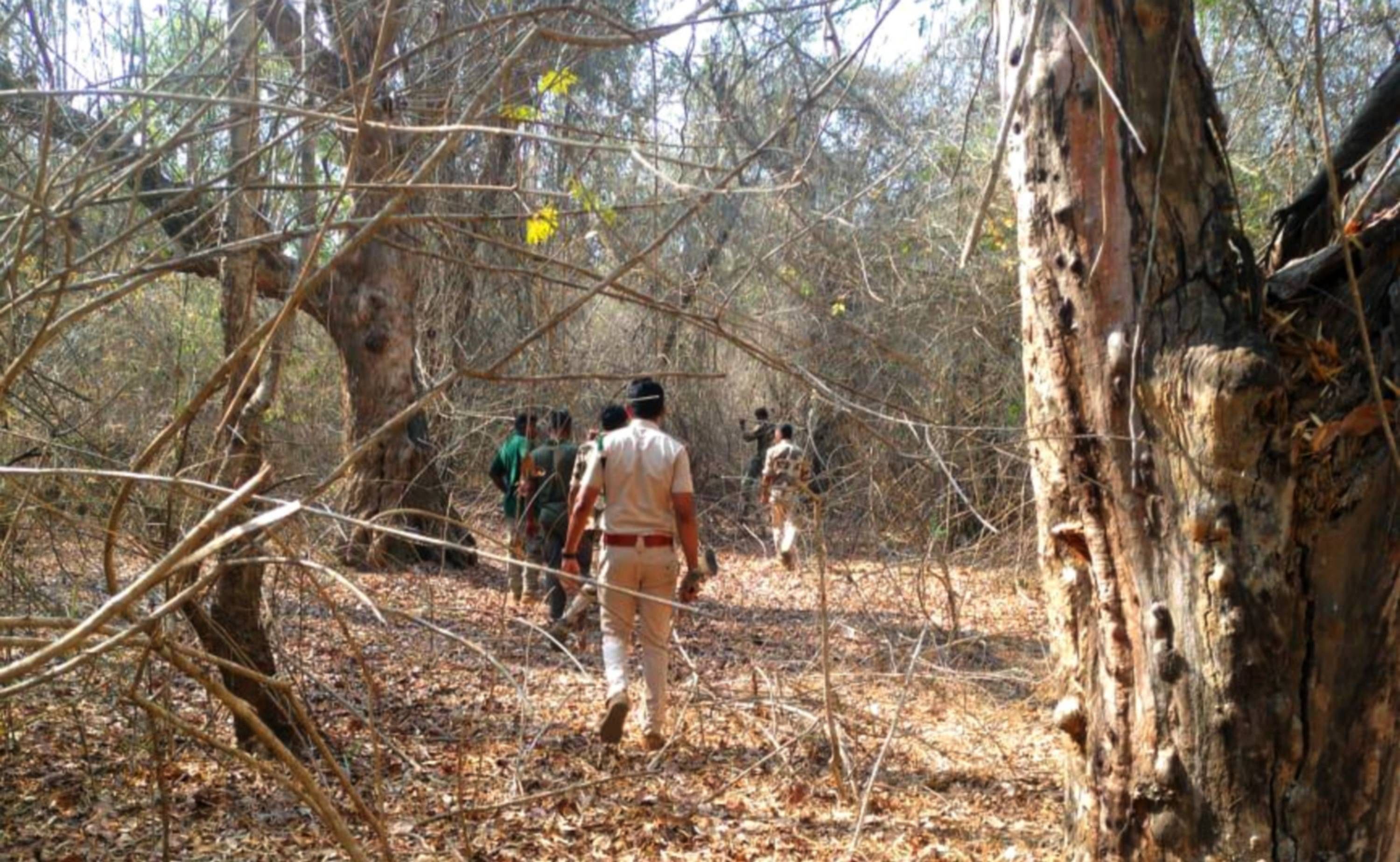 ಸೋಮವಾರಪೇಟೆ ತಾಲ್ಲೂಕಿನ ಮಾಲಂಬಿ ಮೀಸಲು ಅರಣ್ಯದ ಸಮೀಪದ ಕಾಡಾನೆ ಚಲನವಲನ ಗಮನಿಸುತ್ತಿರುವ ಅರಣ್ಯ ಇಲಾಖೆಯ ಅಧಿಕಾರಿಗಳ ತಂಡ