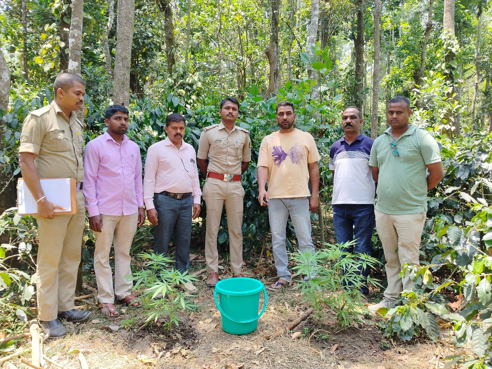 ಕಾಫಿ ತೋಟದೊಳಗೆ ಬೆಳೆದಿರುವ ಗಾಂಜಾ ಗಿಡಗಳೊಂದಿಗೆ ಪೊಲೀಸ್ ತಂಡ