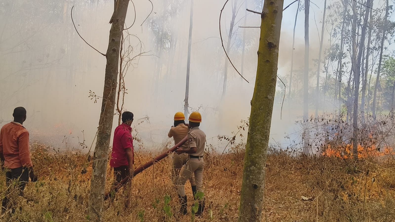 ಭಾರತೀನಗರ ಸಮೀಪದ ಅಣ್ಣೂರು ಗ್ರಾಮದ ರೈತ ಸಿದ್ದರಾಮು ಅವರ ನೀಲಗಿರಿ ತೋಪಿಗೆ ಬಿದ್ದ ಬೆಂಕಿಯನ್ನು ನಂದಿಸಲು ಹರಸಾಹಸ ನಡೆಸಿದ ಅಗ್ನಿಶಾಮಕ ದಳದ ಸಿಬ್ಬಂದಿ