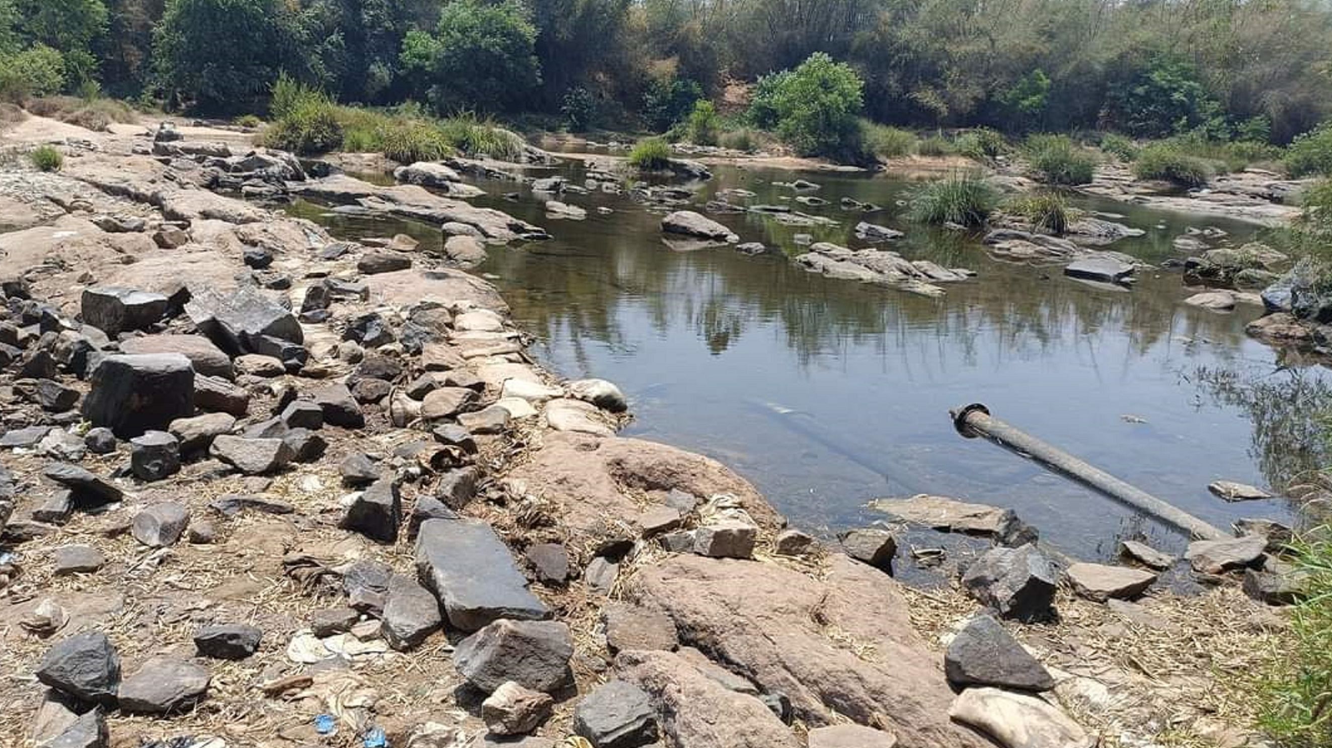 ಕೊಡಗಿನ ಕಾವೇರಿ ನದಿಯಲ್ಲಿ ಕಲ್ಲುಗಳ ದರ್ಶನವಾಗುತ್ತಿದೆ.