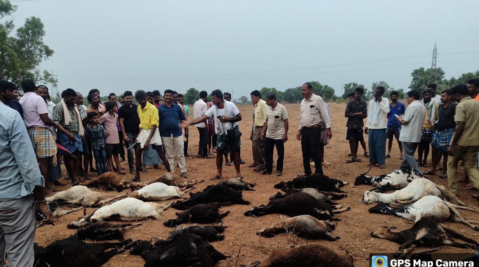 ಮಾಯಕೊಂಡ ಸಮೀಪದ ಈಚಗಟ್ಟ ಗ್ರಾಮದ ಜಮೀನಿನ ಬಳಿ ಗುರುವಾರ ಸಂಜೆ ಸಿಡಿಲಿನ ಹೊಡೆತಕ್ಕೆ ಬಲಿಯಾದ ಮೇಕೆಗಳು