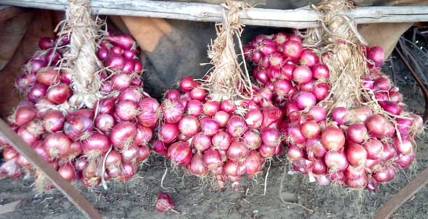 ಕುಮಟಾ ತಾಲ್ಲೂಕಿನ ವನ್ನಳ್ಳಿಯಲ್ಲಿ ರೈತರೊಬ್ಬರ ಮನೆಯಲ್ಲಿ ಮಳೆಗಾಲಕ್ಕೆ ಸಿಹಿ ಈರುಳ್ಳಿ ಶೇಖರಿಸಿಟ್ಟುಕೊಂಡಿರುವುದು