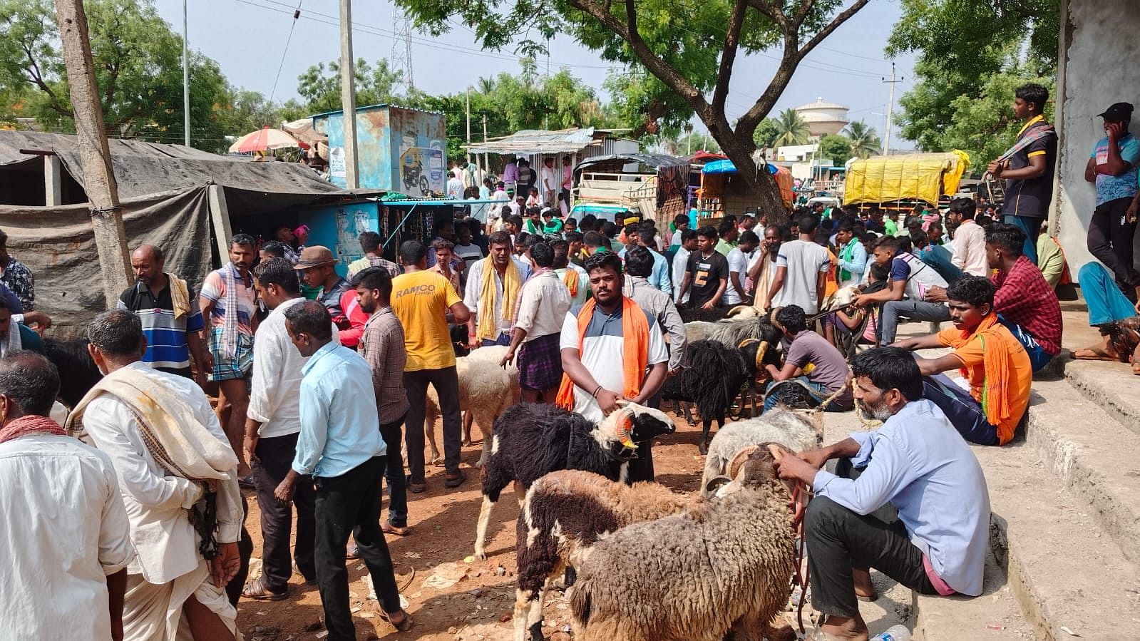 ಕೆರೂರು ಪಟ್ಟಣದಲ್ಲಿ ಮಂಗಳವಾರ ಸಂತೆಯಲ್ಲಿ ಟಗರು ಹಾಗೂ ಕುರಿ ವ್ಯಾಪಾರ ಜೋರಾಗಿತ್ತು