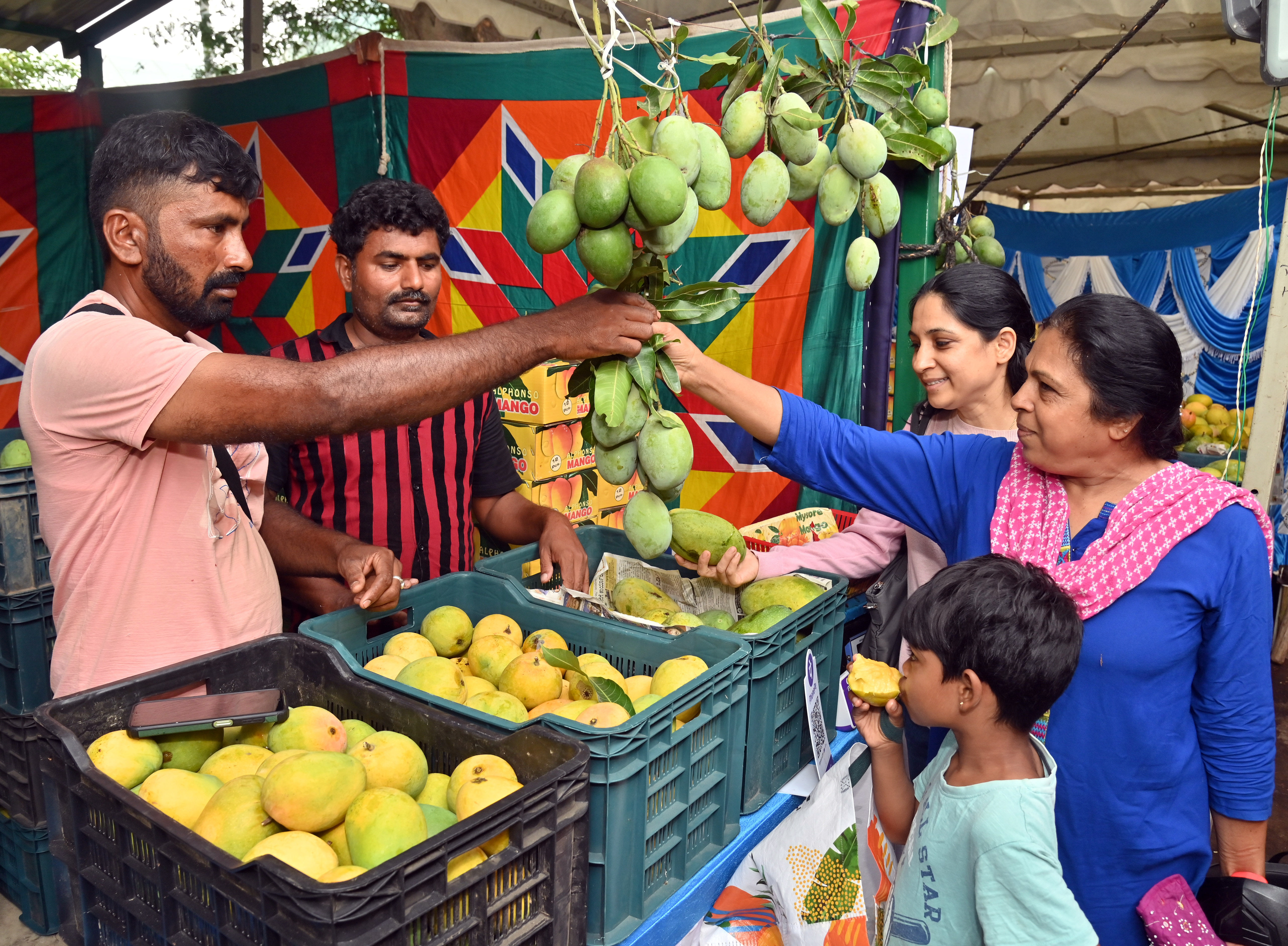 ಮೈಸೂರಿನ ಕುಪ್ಪಣ್ಣ ಉದ್ಯಾನದಲ್ಲಿ ತೋಟಗಾರಿಕಾ ಇಲಾಖೆ ಆಯೋಜಿಸಿರುವ ಮೂರು ದಿನಗಳ ಮಾವು ಮೇಳದಲ್ಲಿ ಶುಕ್ರವಾರ ಮಾವಿನ ಹಣ್ಣು ಖರೀದಿಸಿದ ಗ್ರಾಹಕರು –ಪ್ರಜಾವಾಣಿ ಚಿತ್ರ