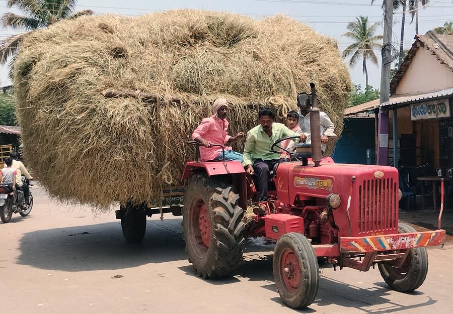 ಮಲೇಬೆನ್ನೂರು ಪಟ್ಟಣದ ಸಂತೆ ರಸ್ತೆಯಲ್ಲಿ ಬುಧವಾರ ಒಣಗಿದ ಭತ್ತದ ಹುಲ್ಲನ್ನು ಟ್ರ್ಯಾಕ್ಟರ್‌ ಮೂಲಕ ಸಾಗಣೆ ಮಾಡುತ್ತಿರುವುದು