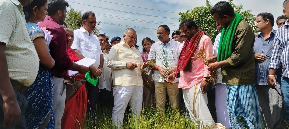 ರಾಮನಗರ ಜಿಲ್ಲಾ ಉಸ್ತುವಾರಿ ಸಚಿವ ರಾಮಲಿಂಗಾ ರೆಡ್ಡಿ ಅವರು ತೀವ್ರ ಬರಪೀಡಿತ ಕನಕಪುರ ತಾಲ್ಲೂಕಿನ ಕಾಳೇಗೌಡನದೊಡ್ಡಿಯ ಹೊಲಕ್ಕೆ ಕಳೆದ ನವೆಂಬರ್‌ನಲ್ಲಿ ಭೇಟಿ ನೀಡಿದ್ದಾಗ ರೈತರು ಮಳೆ ಇಲ್ಲದೆ ಒಣಗಿದ್ದ ರಾಗಿ ಪೈರನ್ನು ಸಚಿವರಿಗೆ ತೋರಿಸಿದ್ದರು (ಸಂಗ್ರಹ ಚಿತ್ರ)