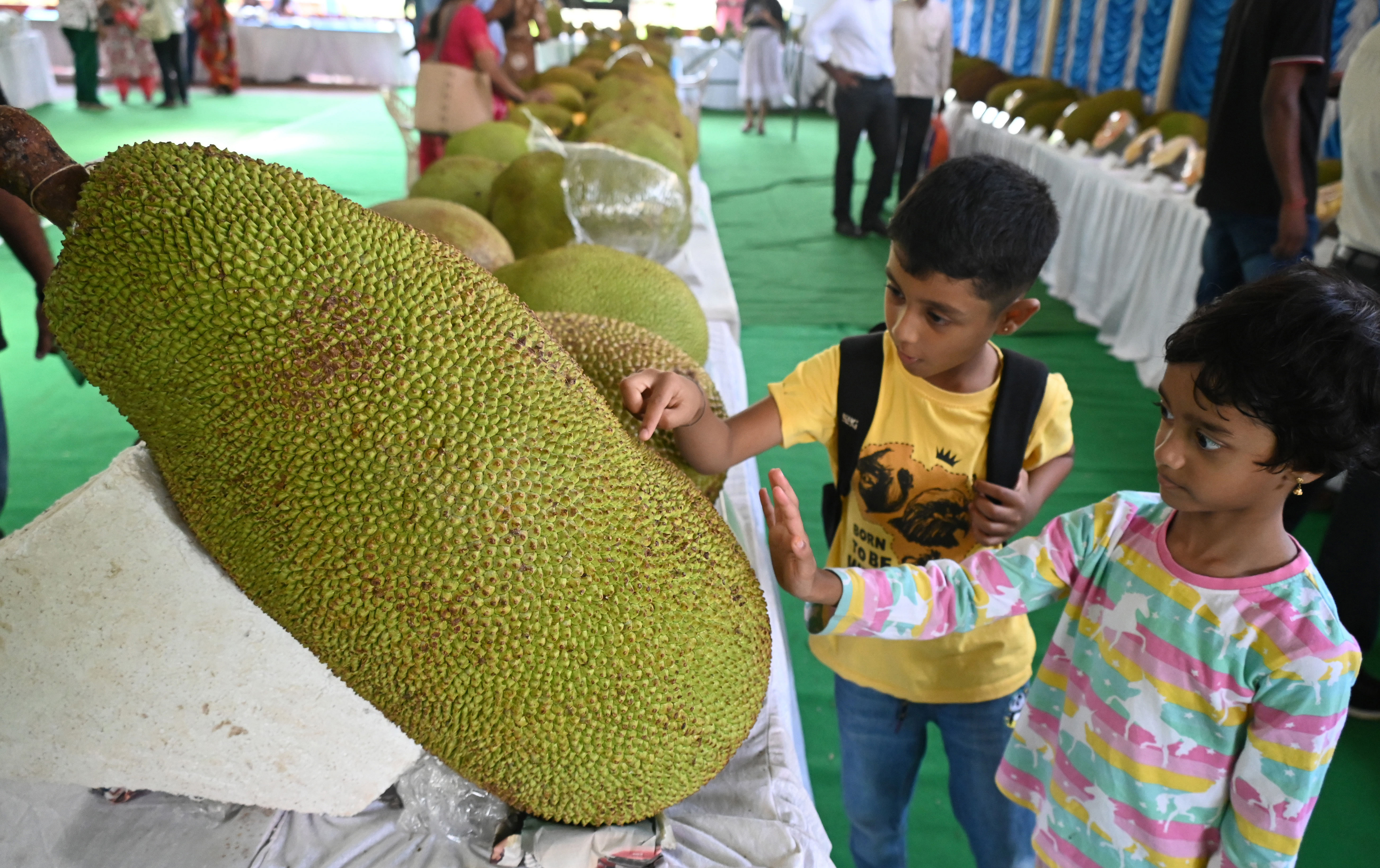 ತ್ರಿಫಲ ಮೇಳದಲ್ಲಿ ಹಲಸಿನ ಹಣ್ಣನ್ನು ಕುತೂಹಲದಿಂದ ವೀಕ್ಷಿಸುತ್ತಿರುವ ಮಕ್ಕಳು –ಪ್ರಜಾವಾಣಿ ಚಿತ್ರ/ಕಿಶೋರ್ ಕುಮಾರ್ ಬೋಳಾರ್