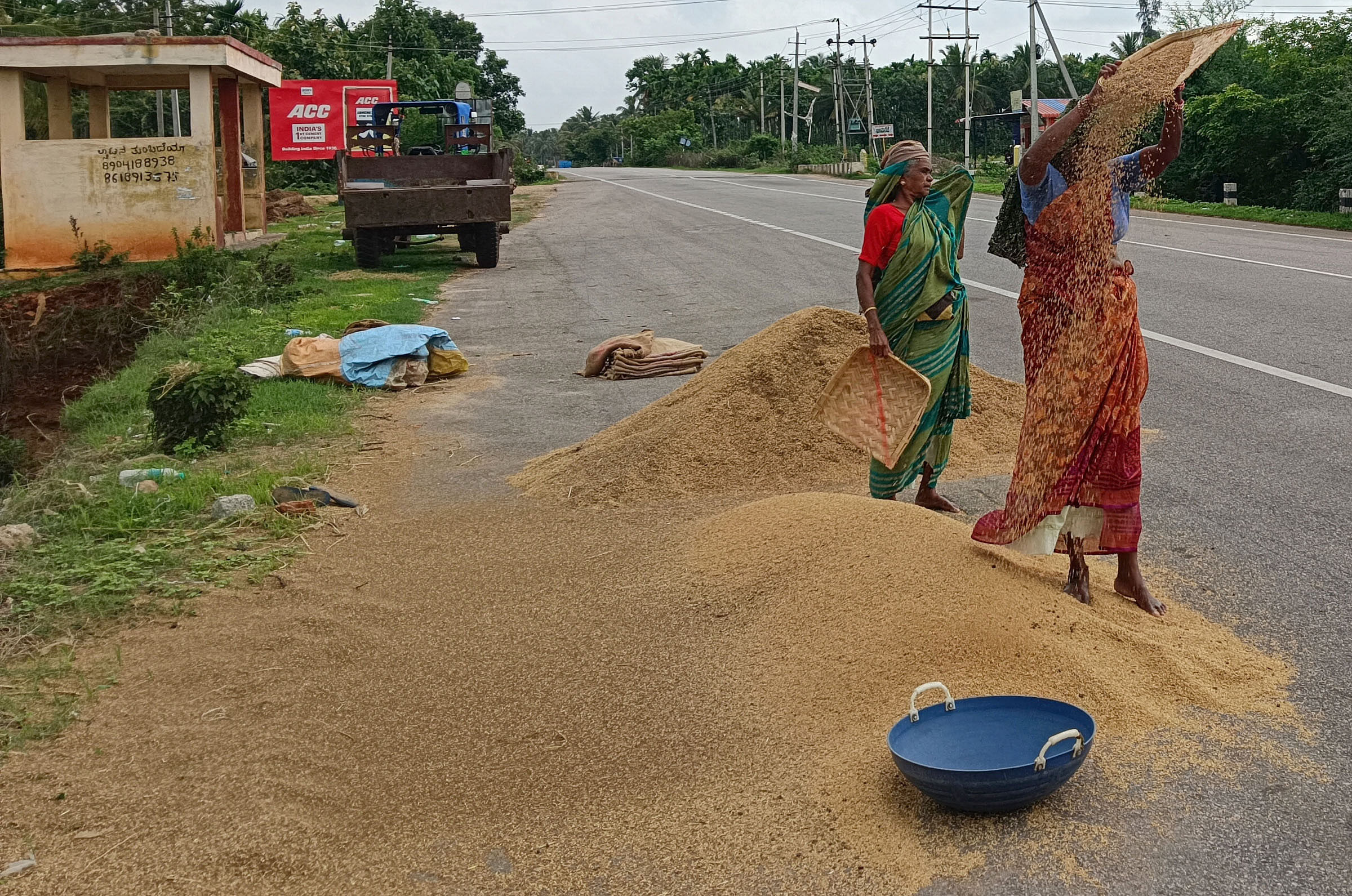 ಸಂತೇಬೆನ್ನೂರು ಸಮೀಪದ ತಣಿಗೆರೆ ಬಳಿ ಭತ್ತದ ಒಕ್ಕಣೆ ಮಾಡುತ್ತಿರುವ ರೈತರು