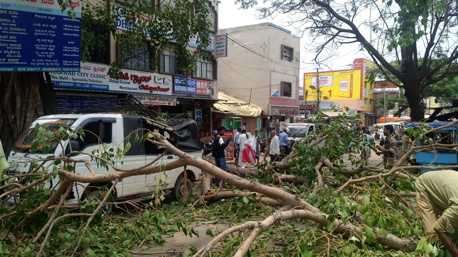 ಧಾರವಾಡದಲ್ಲಿ ಆಲದ ಮರದ ದೊಡ್ಡ ಟೊಂಗೆ ಮುರಿದುಬಿದ್ದು ವಾಹನಗಳು ಜಖಂಗೊಂಡಿರುವುದು