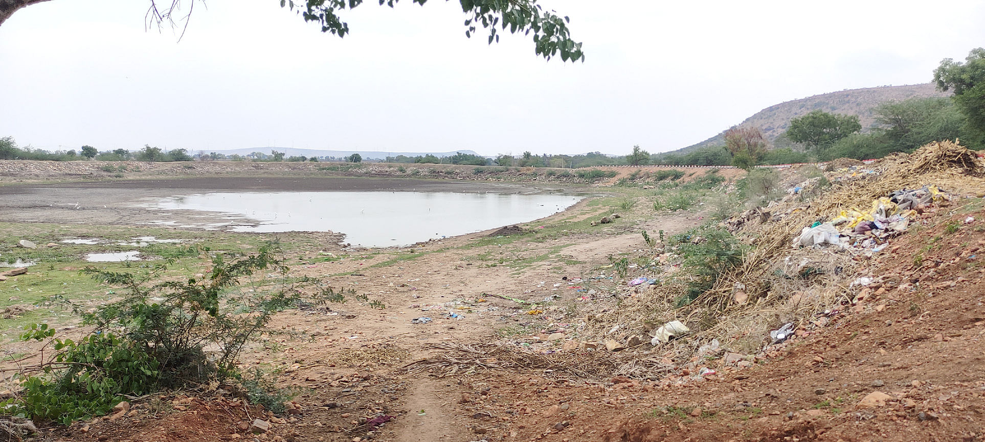 ಚಿಕ್ಕುಂಬಿ ಕೆರೆಯ ಅಂಗಳದಲ್ಲಿ ಕಸದ ರಾಶಿ