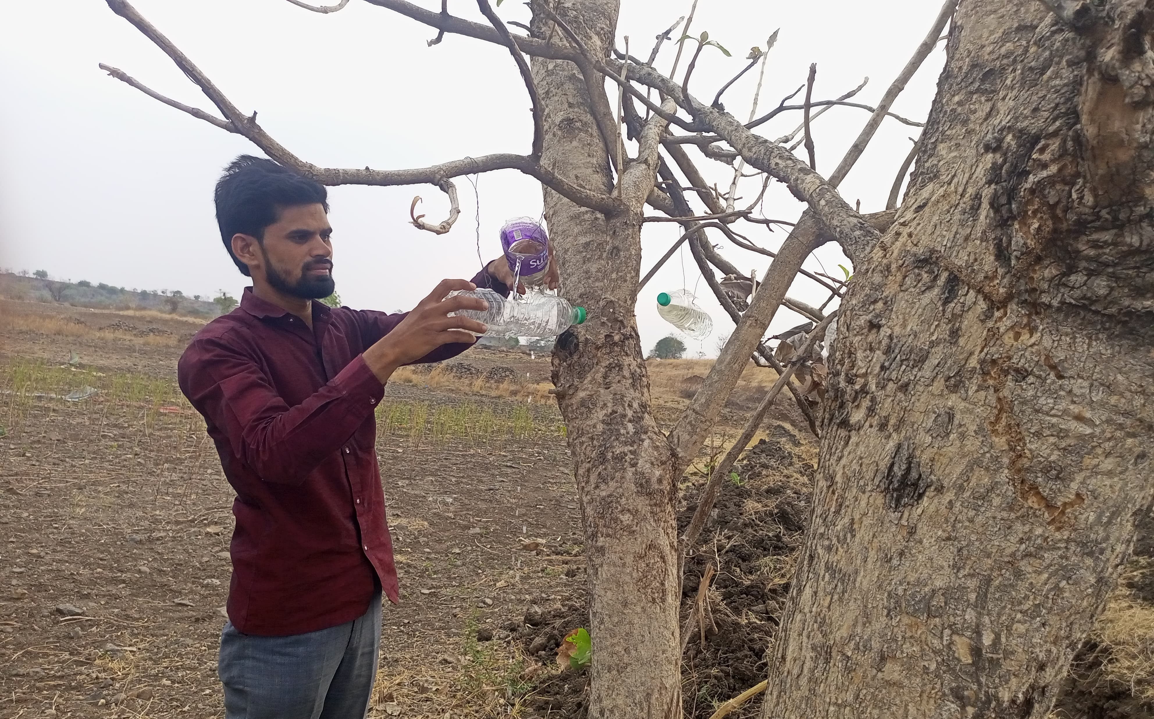 ಔರಾದ್ ತಾಲ್ಲೂಕಿನ ತೆಲಂಗಾಣ ಗಡಿಯಲ್ಲಿ ಪಕ್ಷಿಗಳಿಗಾಗಿ ಮರಕ್ಕೆ ಕಟ್ಟಿದ ಬಾಟಲಿಗೆ ರಿಯಾಜ್‌ಪಾಶಾ ನೀರು ಹಾಕುತ್ತಿರುವುದು 