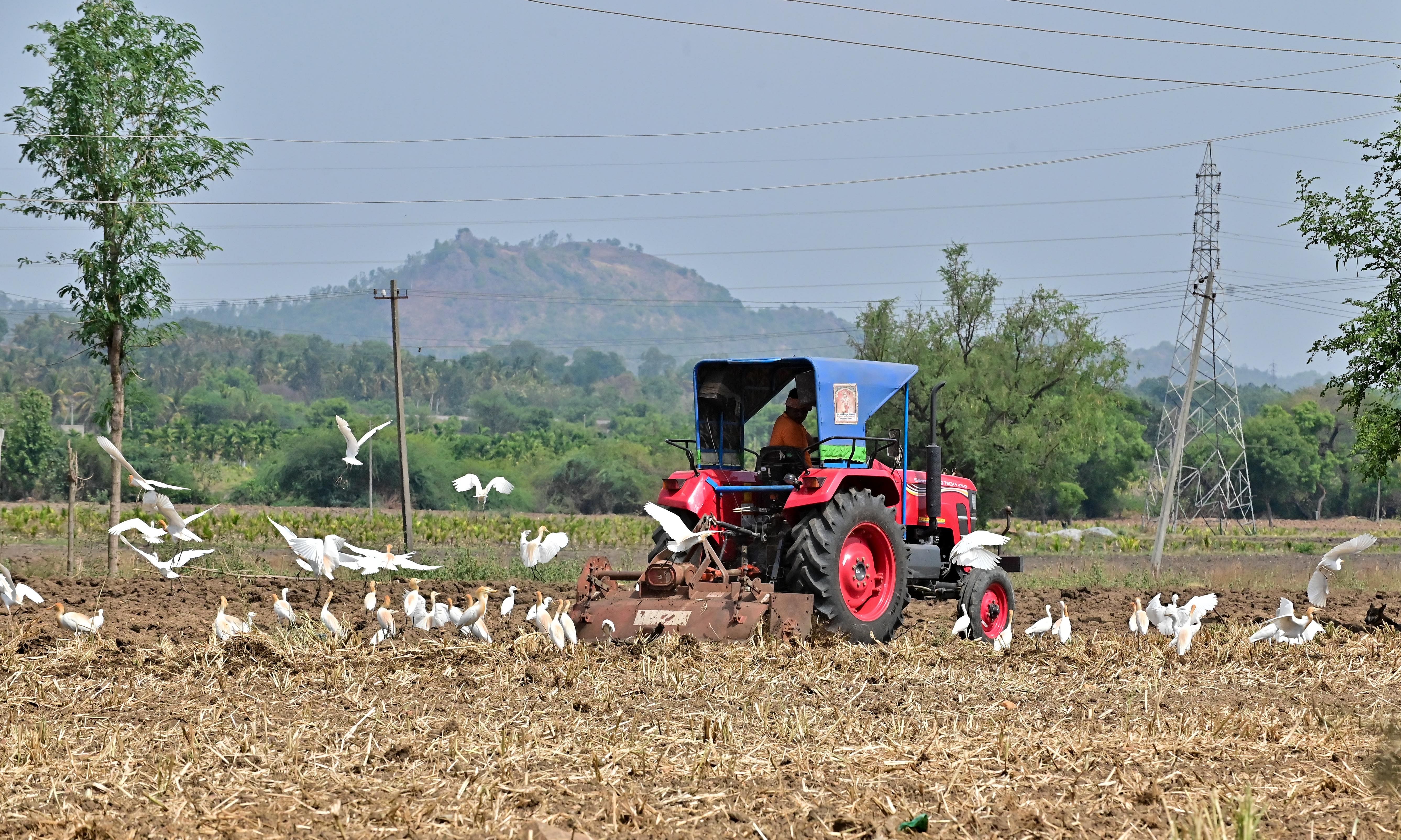 ದಾವಣಗೆರೆಯ ಹೊರವಲಯದ ಜಮೀನೊಂದರಲ್ಲಿ ಟ್ರ್ಯಾಕ್ಟರ್‌ನಿಂದ ಉಳುಮೆ ಮಾಡುತ್ತಿರುವ ರೈತ