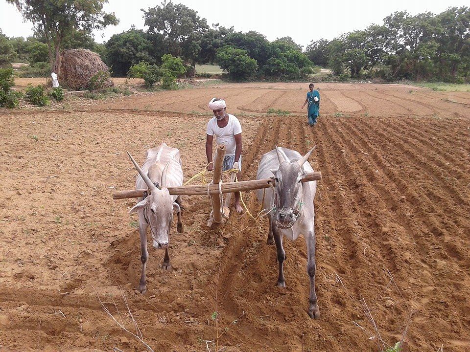 ಸಾಂದರ್ಭಿಕ ಚಿತ್ರ