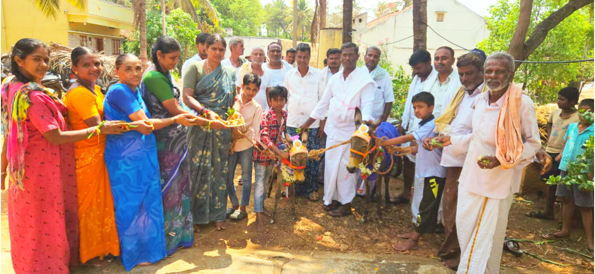 ಕಡರನಾಯ್ಕನಹಳ್ಳಿ ಸಮೀಪದ ಹೊಳೆಸಿರಿಗೆರೆ ಗ್ರಾಮದಲ್ಲಿ ಕತ್ತೆಗಳ ಮದುವೆ ಮಾಡಿ ಮಳೆಗಾಗಿ ಪ್ರಾರ್ಥಿಸಲಾಯಿತು