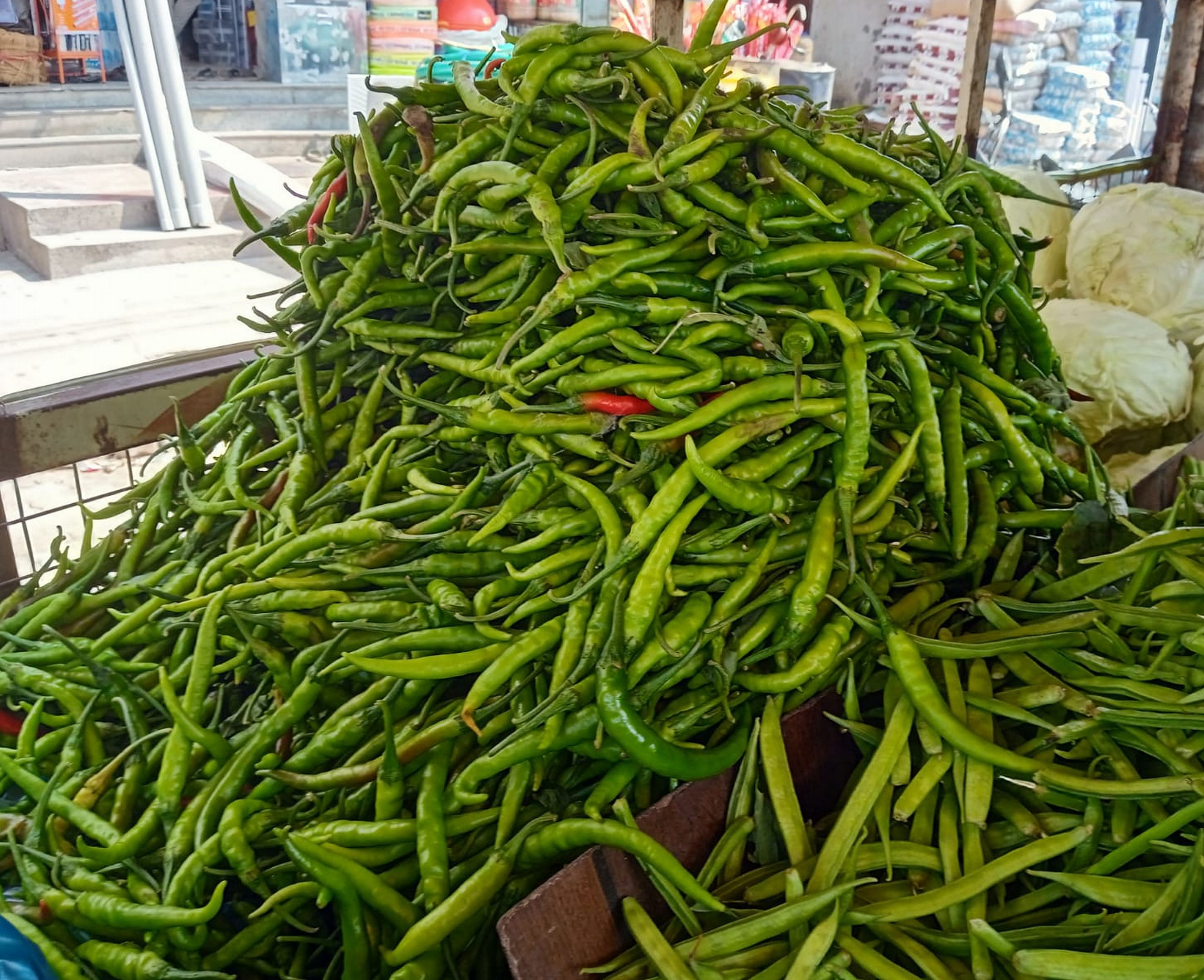 ಹಸಿ ಮೆಣಸಿನಕಾಯಿ