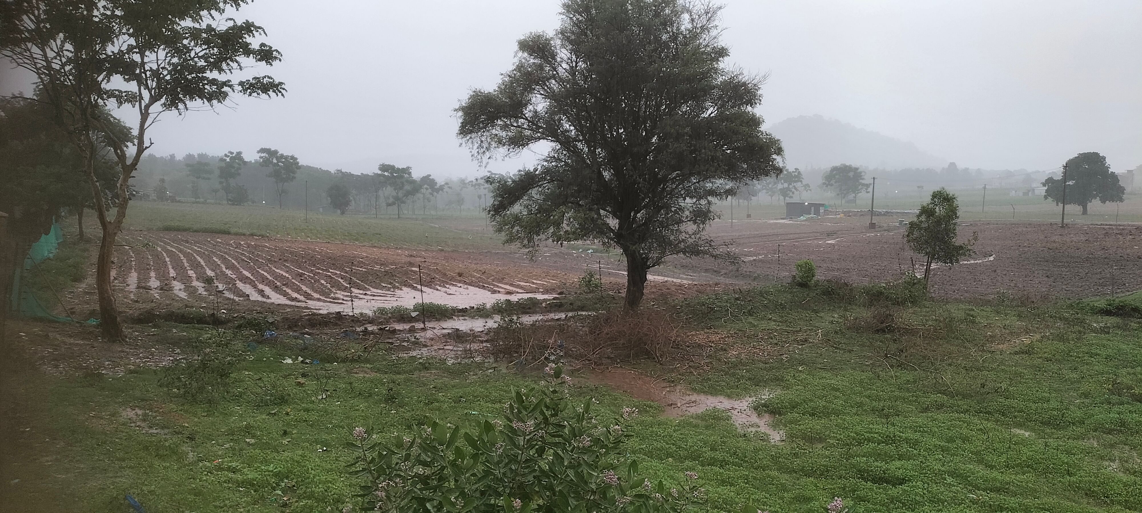 ನಿರಂತರವಾಗಿ ಸುರಿಯುತ್ತಿರುವ ಮಳೆಗೆ ಗುಂಡ್ಲುಪೇಟೆ ತಾಲ್ಲೂಕಿನ ಮೇಲುಕಾಮನಹಳ್ಳಿಯ ಜಮೀನಿನಲ್ಲಿ ನೀರು ನಿಂತಿರುವುದು